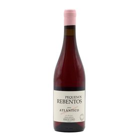Pequenos Rebentos Atlantico Vinho Verde Tinto, , hi-res