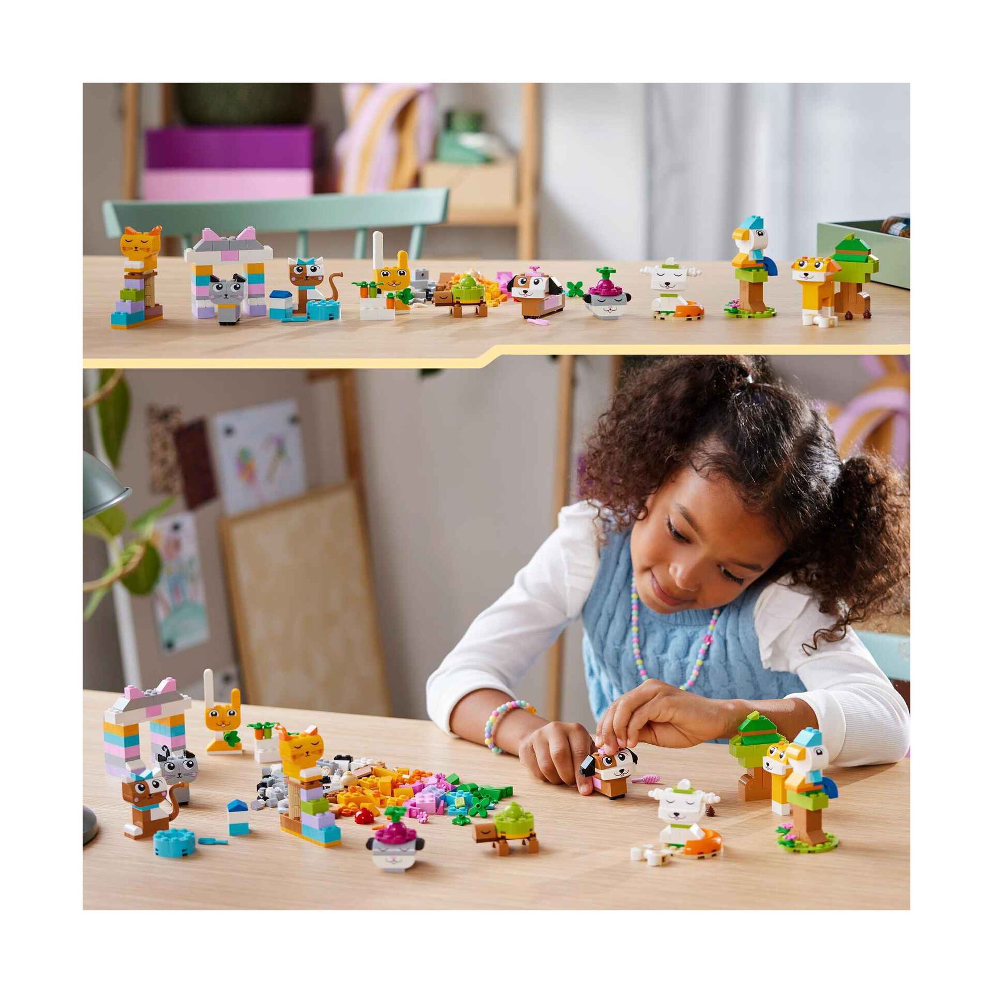 Animais de Estimação Criativos - 11034