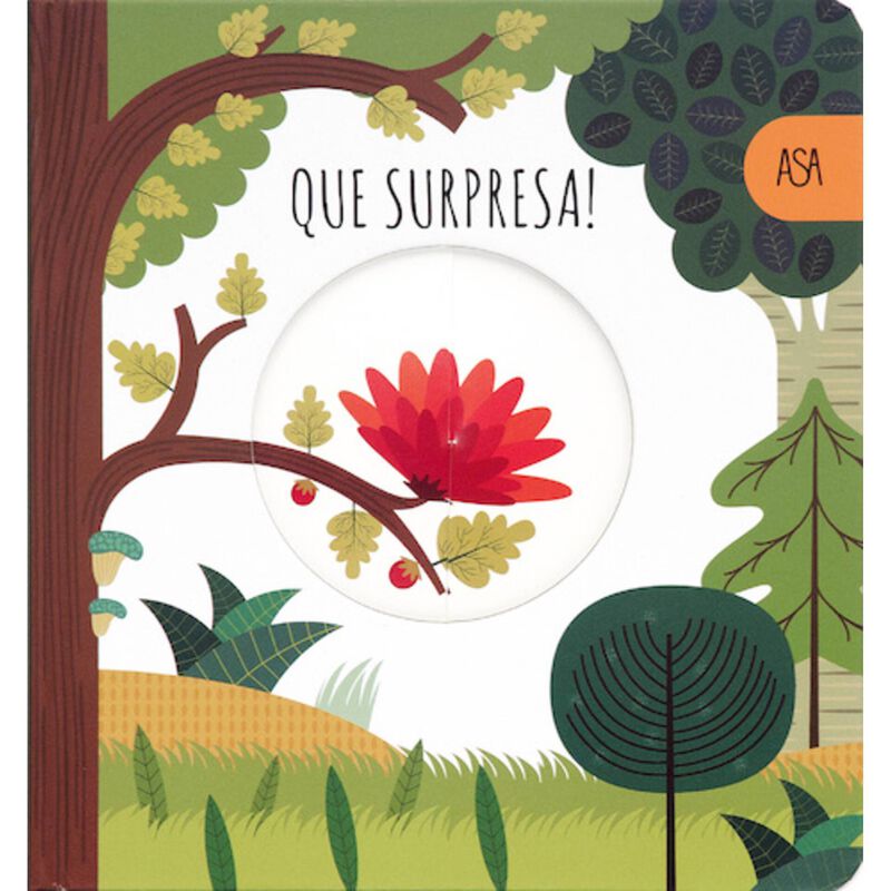 Rodas Mágicas - Que Surpresa! de Gabriele Clima e Agnese Baruzzi