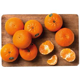 Clementina Orri Continente