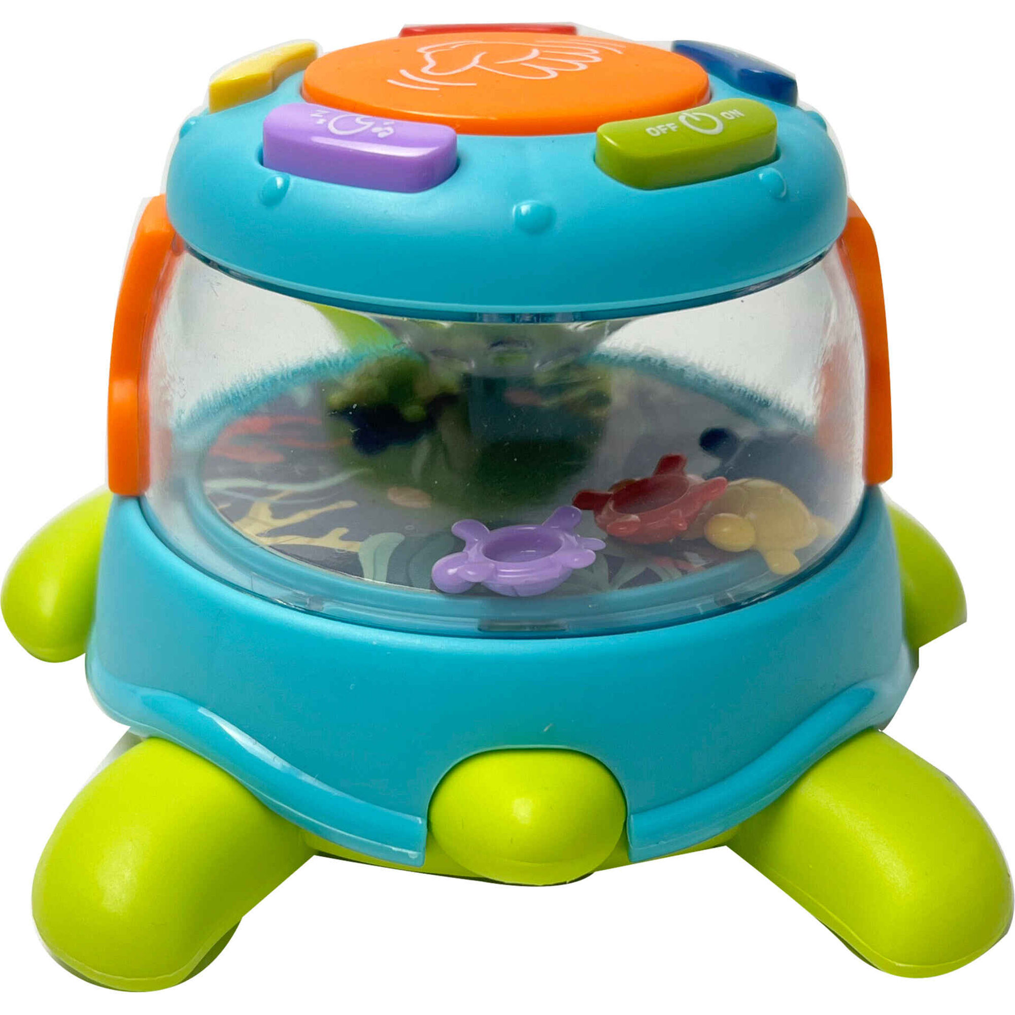 Tartaruga e Carangueijo Divertidos