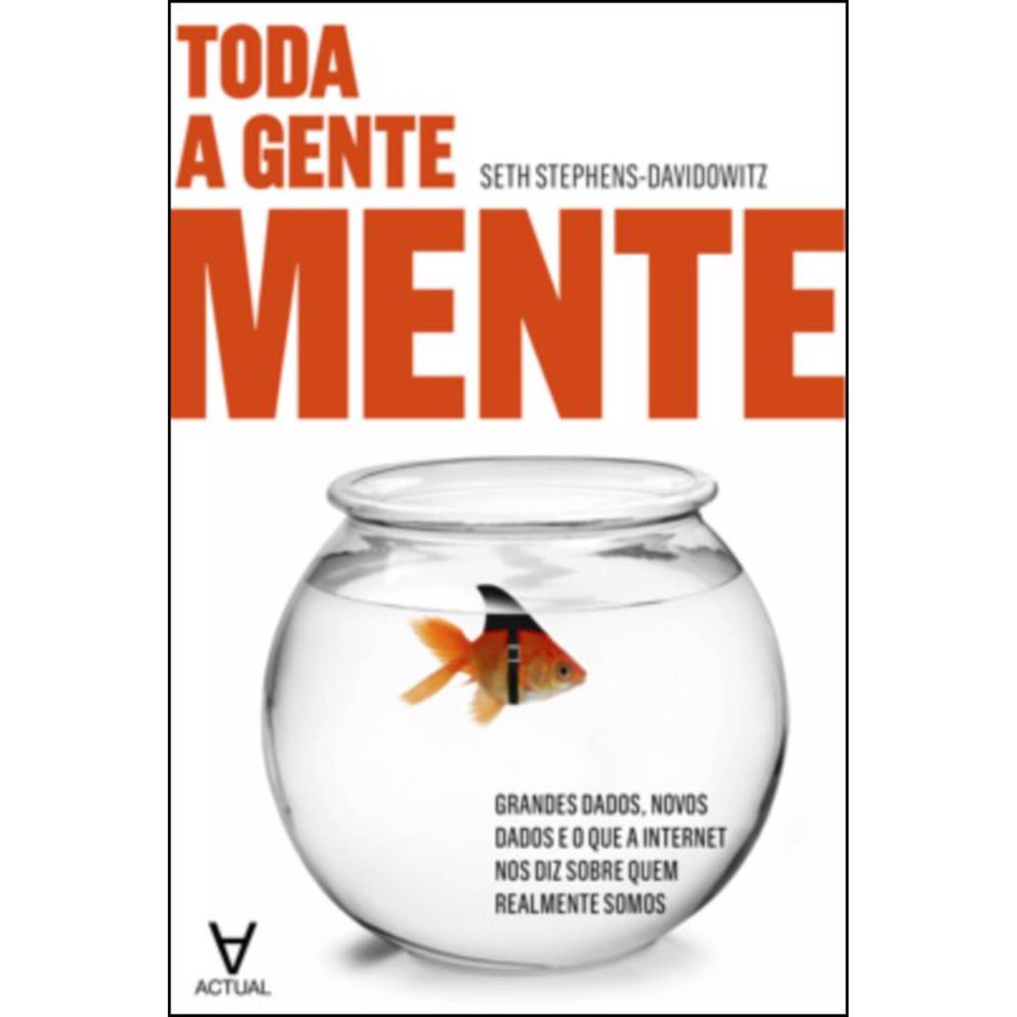 Toda a Gente Mente de Seth Stephens-Davidowitz