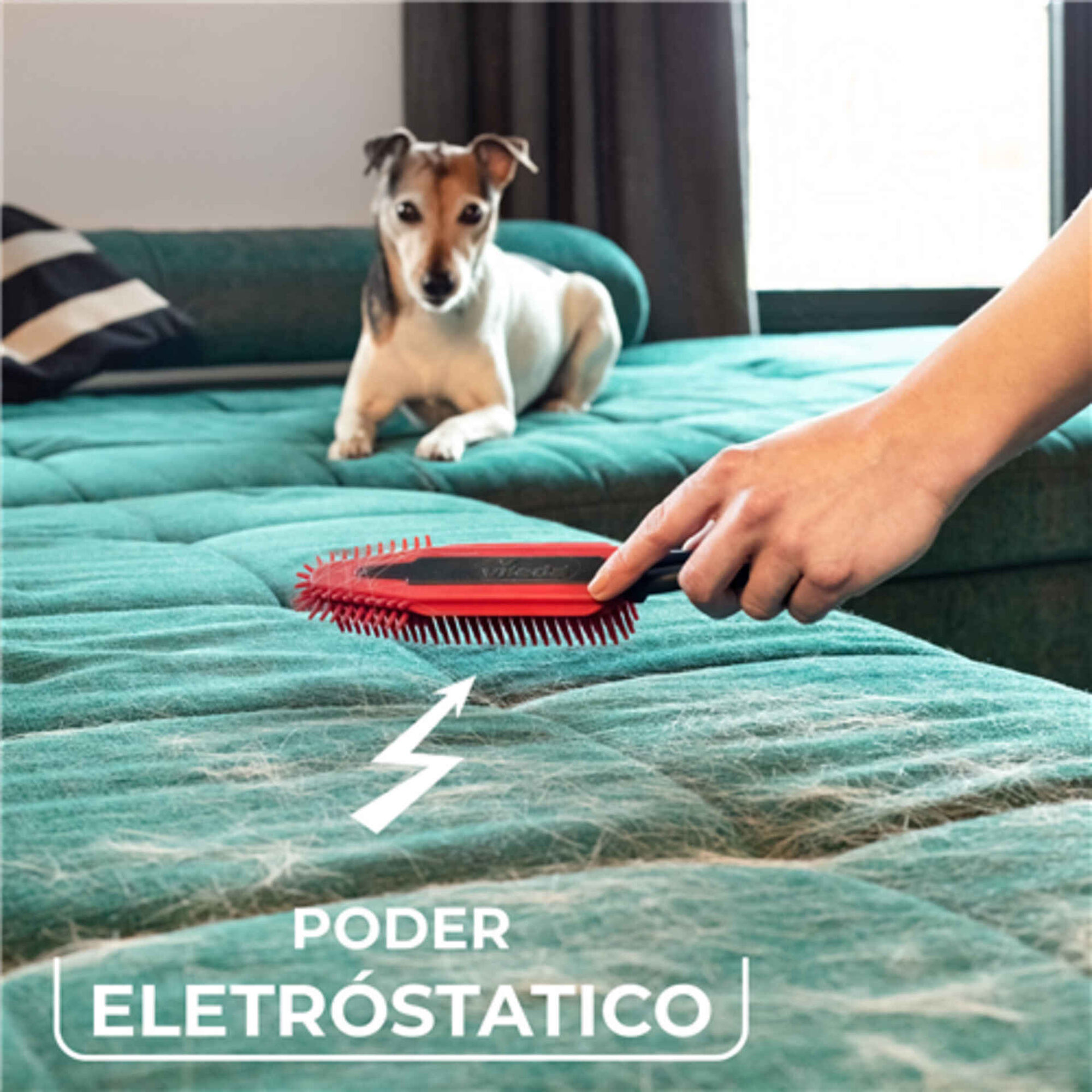 Escova Eletroest&aacute;tica Pet Pro Vileda