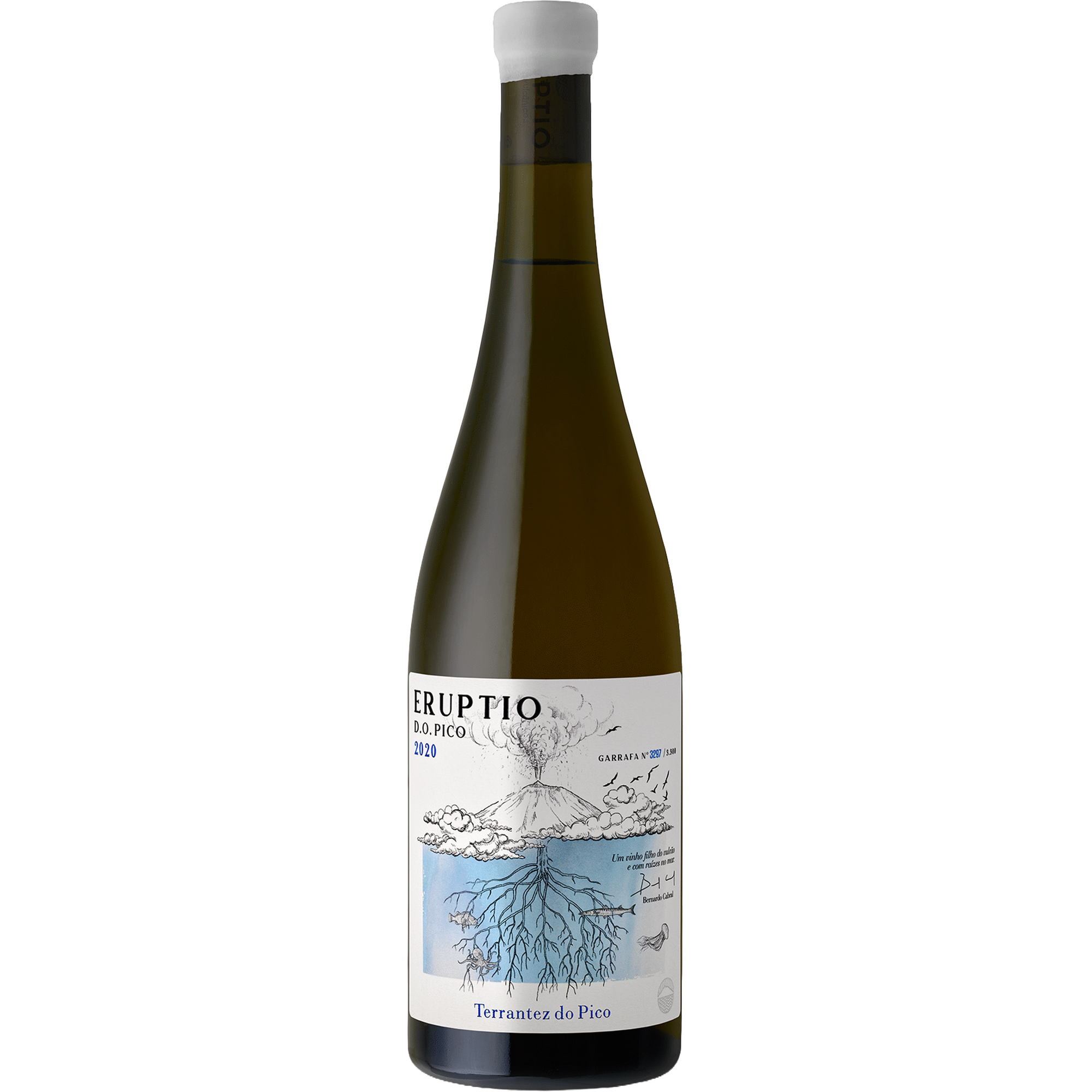 Eruptio Terrantez Pico Vinho Branco