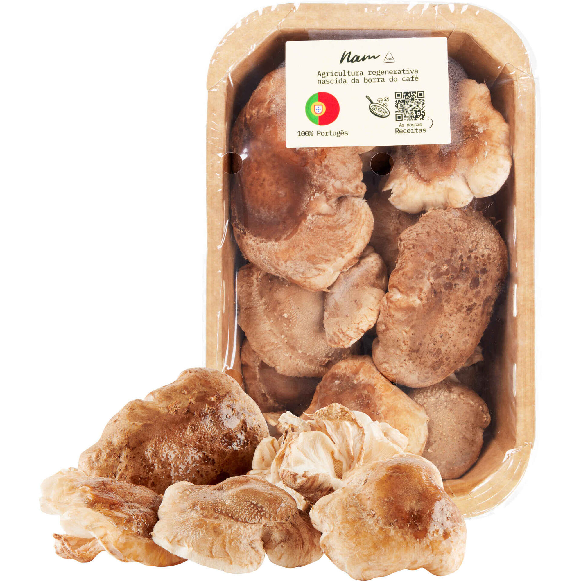 Cogumelo Shitake Nam