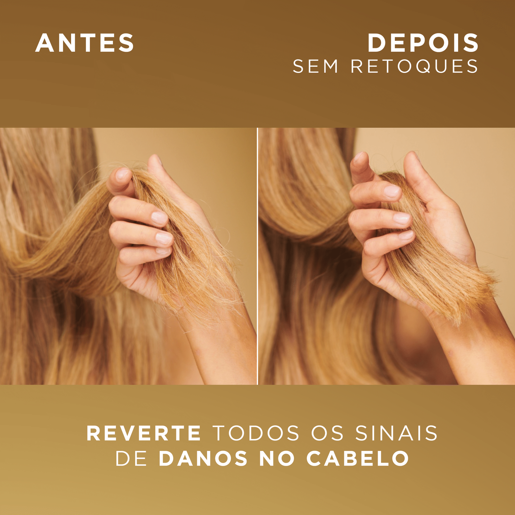 Champ&ocirc; Pro-V Miracles Bond Repair Pantene