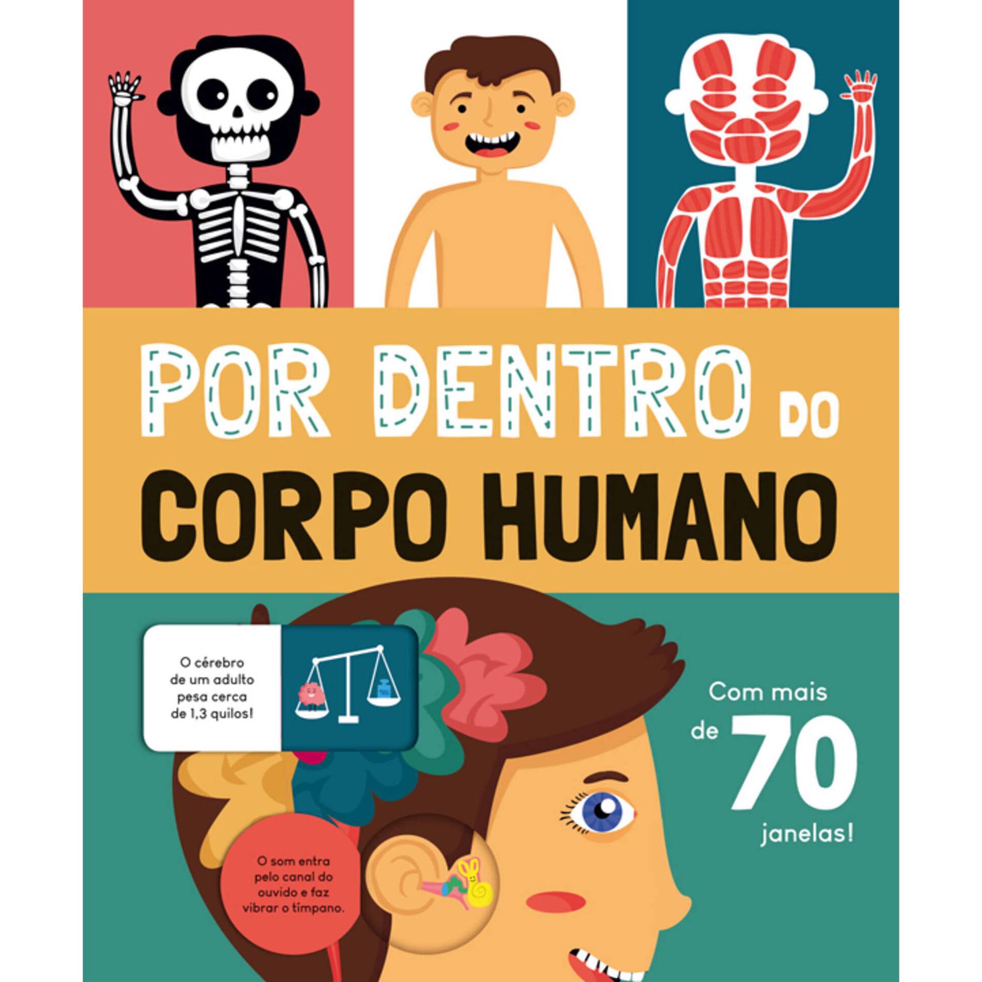 Por Dentro do Corpo Humano Por Dentro do Corpo Humano