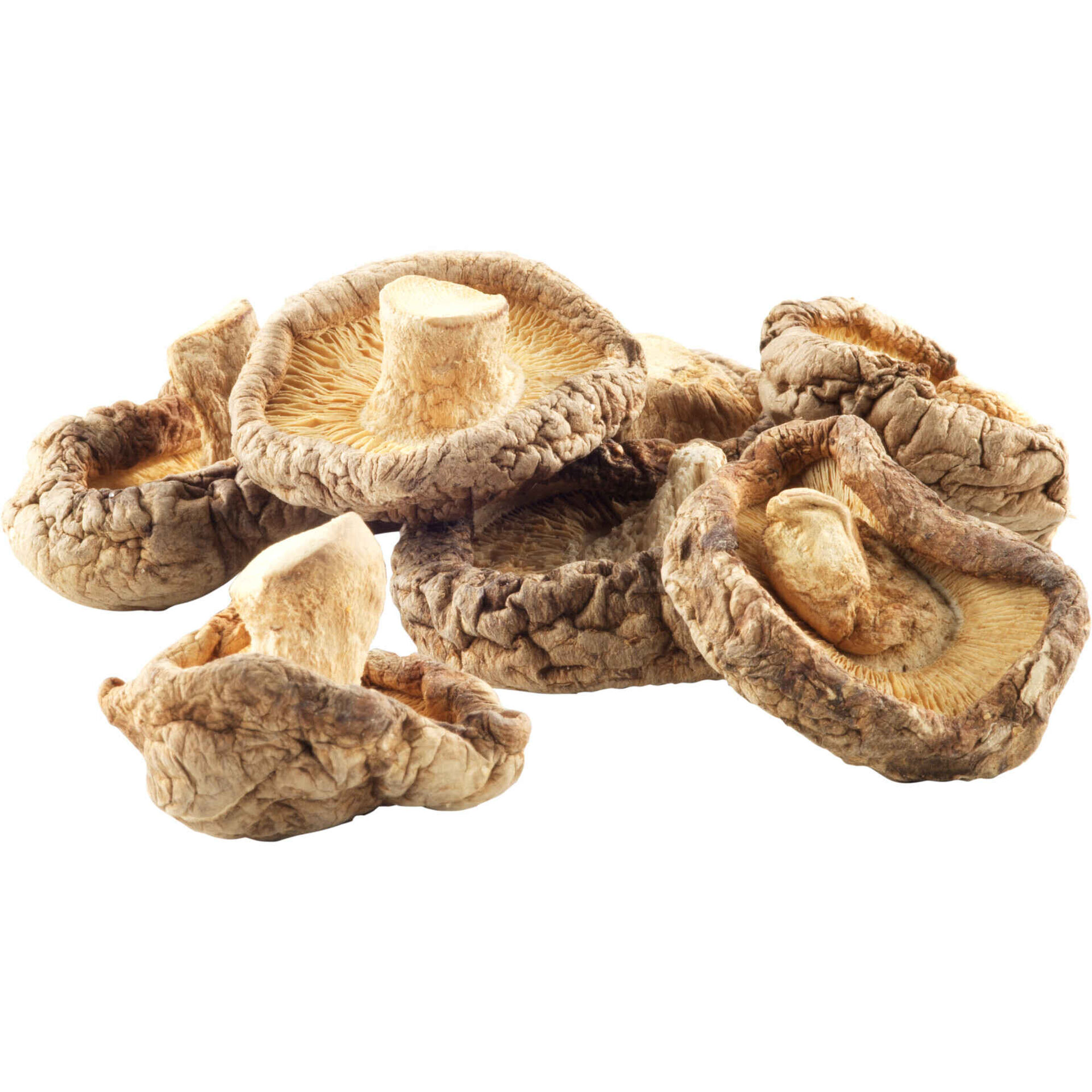 Cogumelo Shiitake Desidratado Diamond