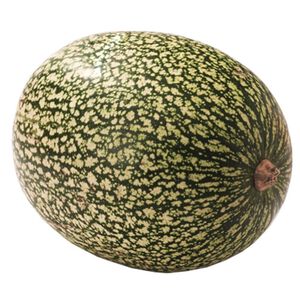 Abóbora Chila Continente