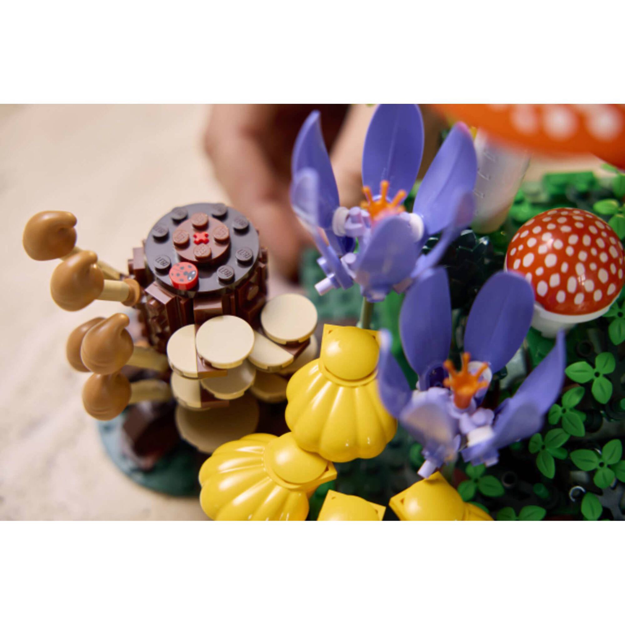 LEGO Botanicals - Cogumelos Silvestres - 11505