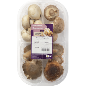 Mix Cogumelos Brancos, Marron, Shitake e Pleurothus Frescos