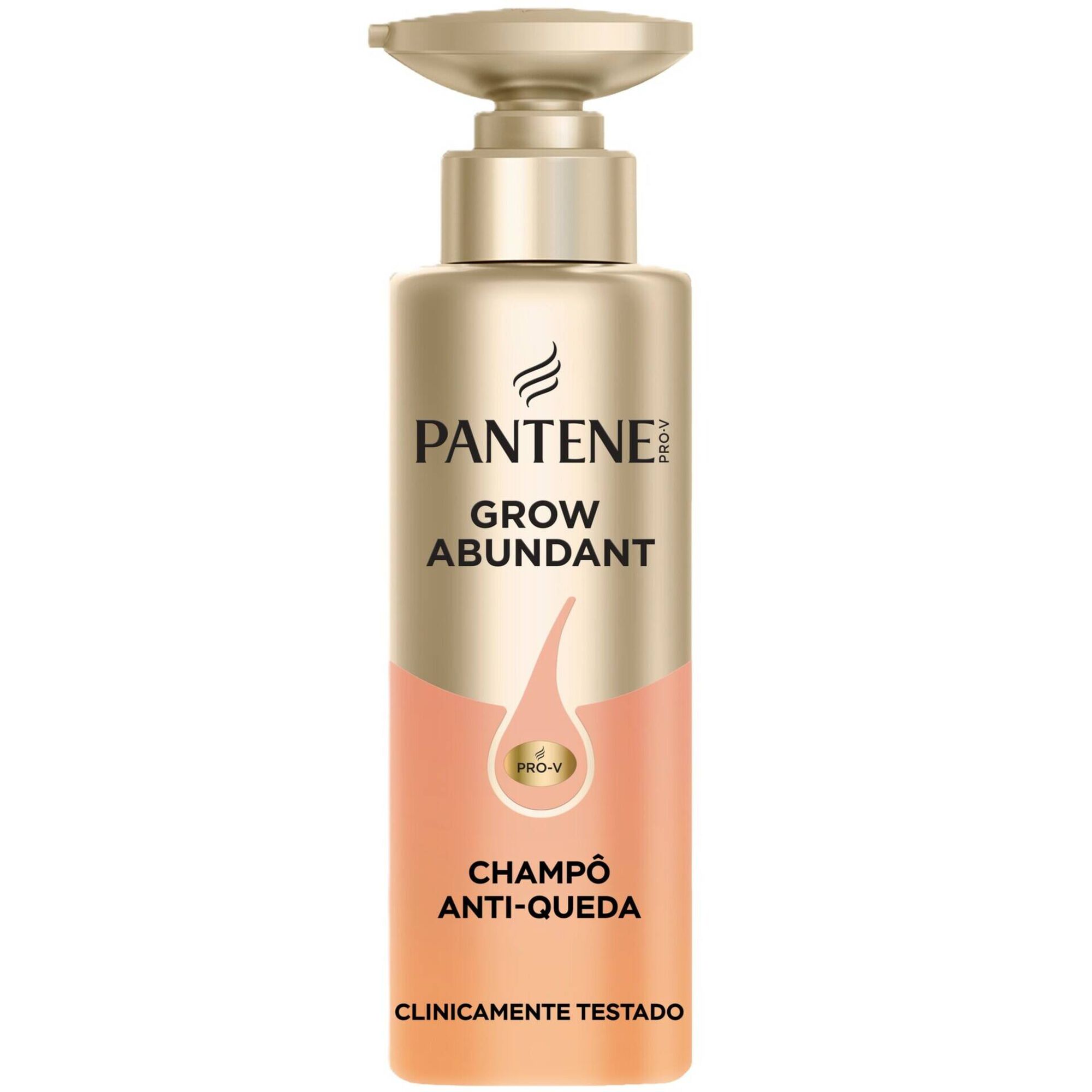 Champ&ocirc; Antiqueda Pantene