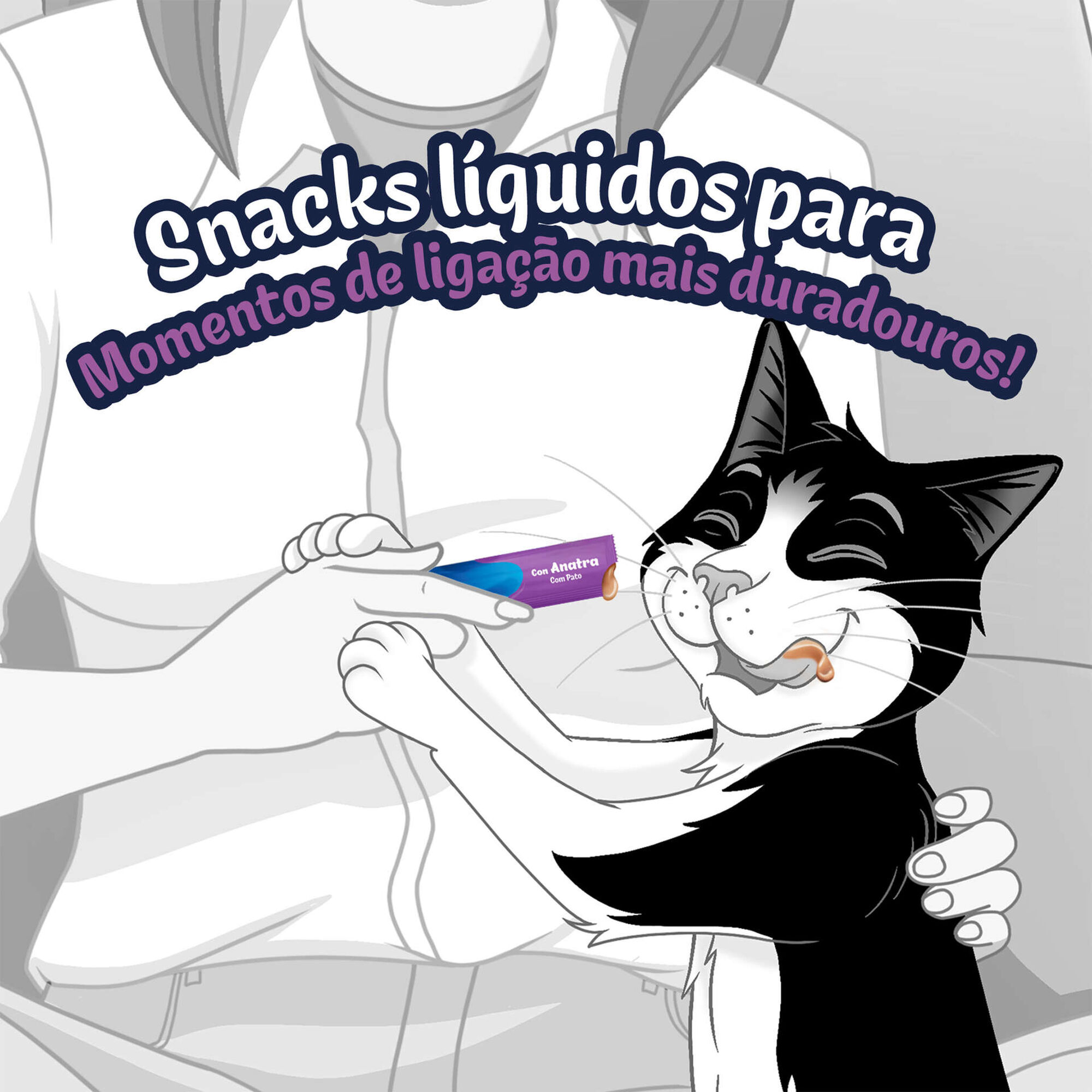 Snack L&iacute;quido para Gato Adulto Deli Moments Pato Saquetas Purina Felix