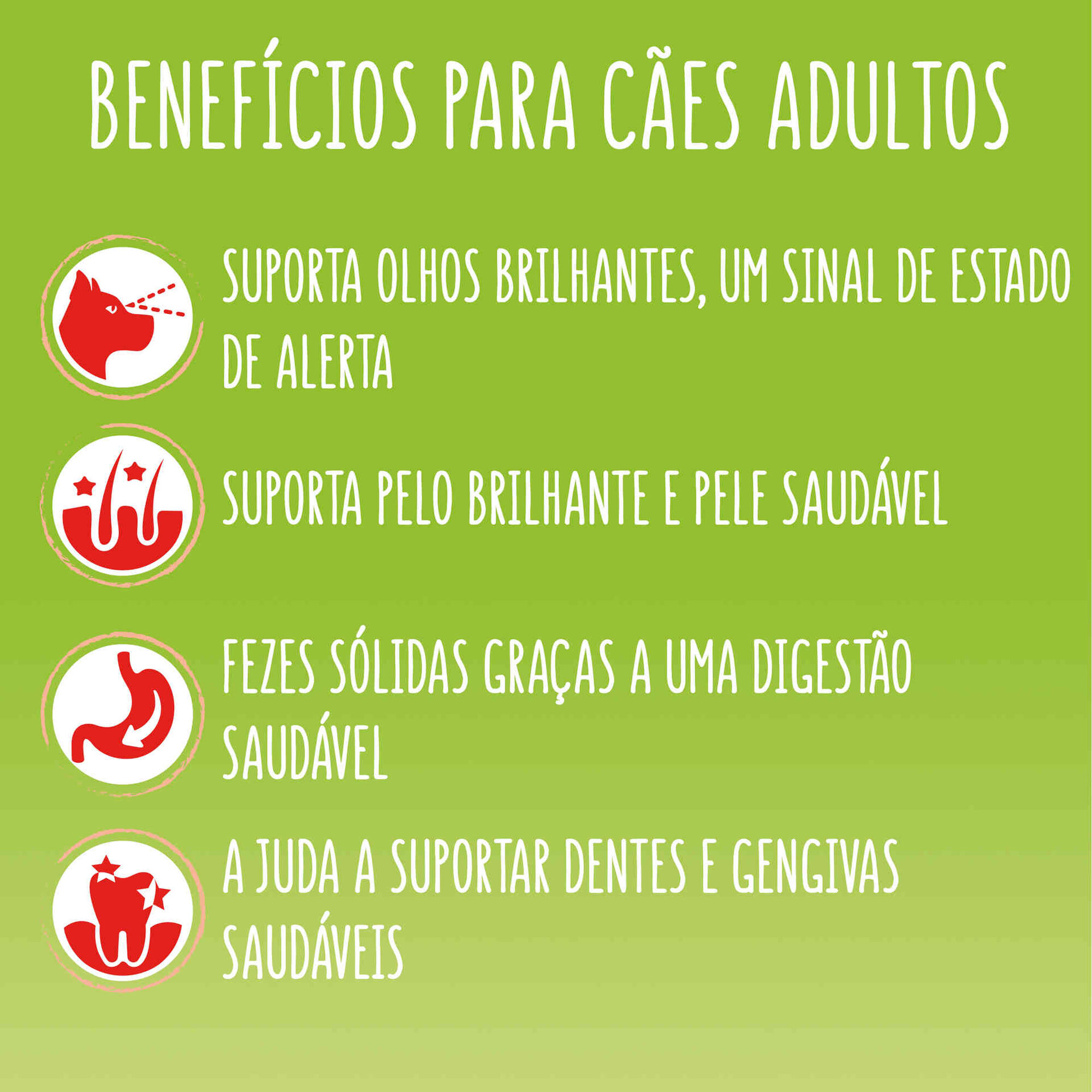 Ração para Cão Adulto Active Vaca