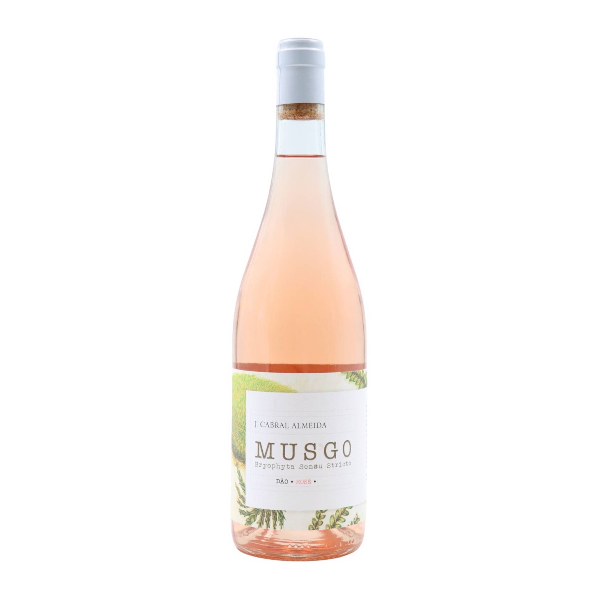 Musgo D&atilde;o Vinho Ros&eacute;