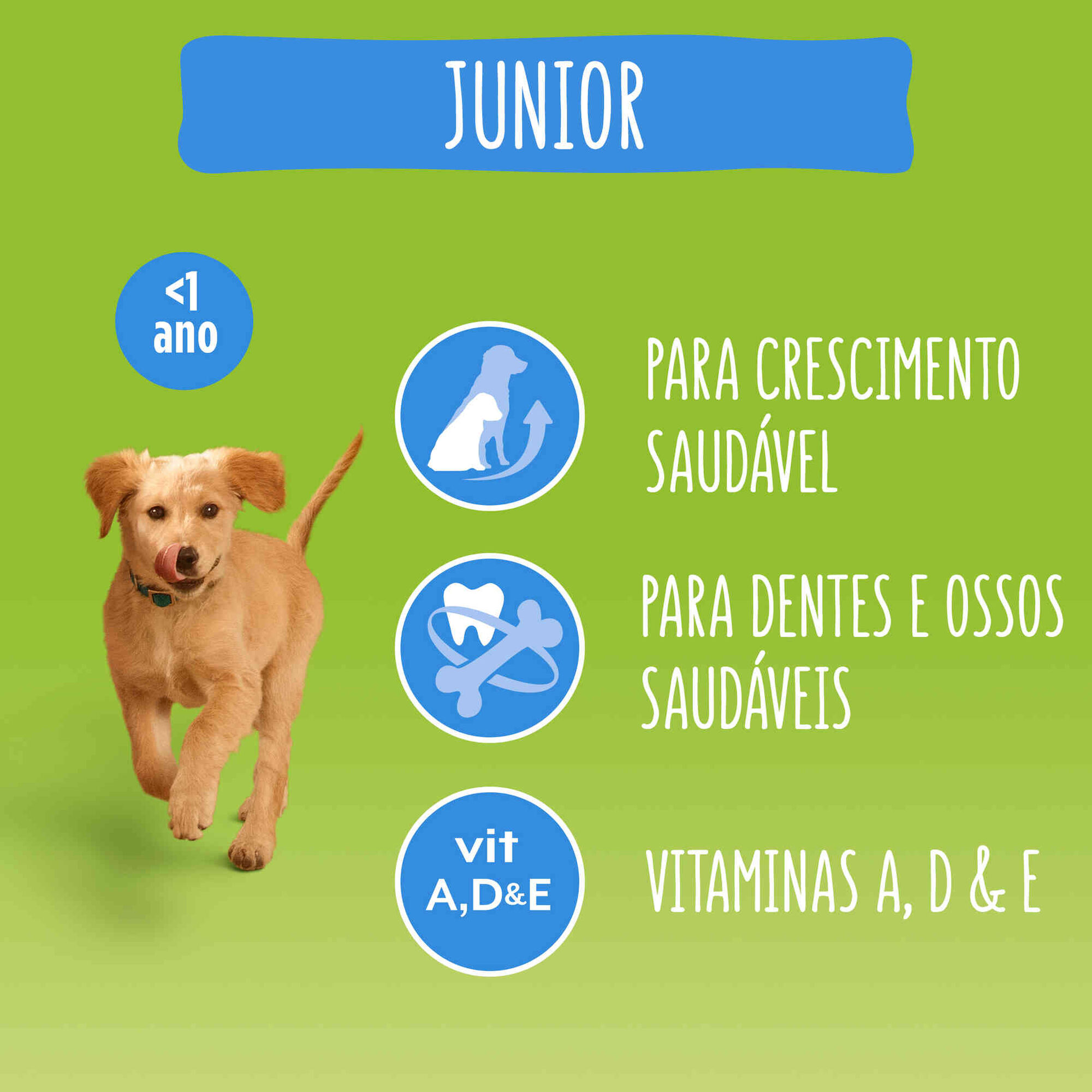 Ração para Cão Júnior Frango e Legumes