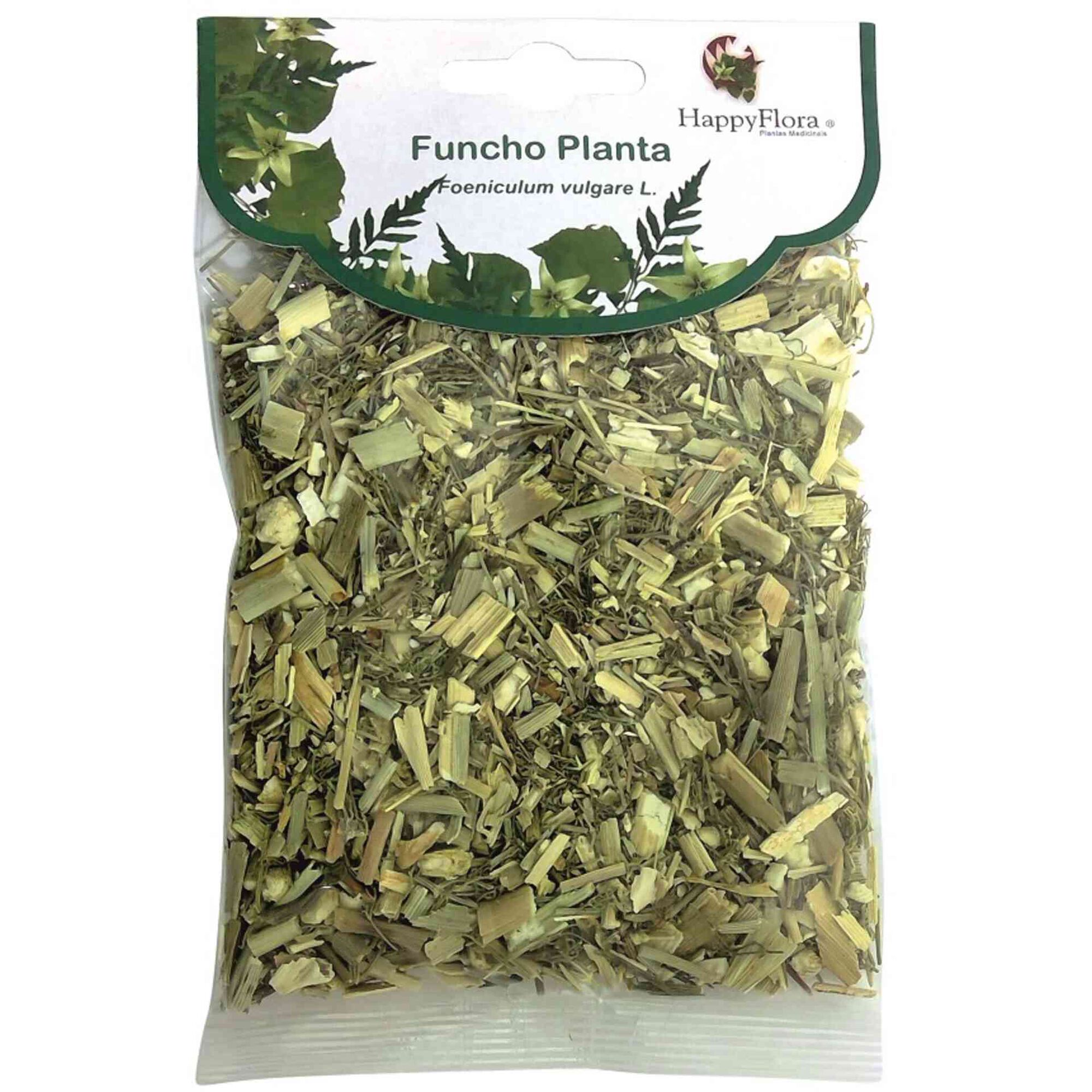 Chá Funcho Planta