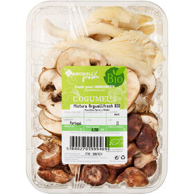 Mix de Cogumelos Biológico Argwell Fresh