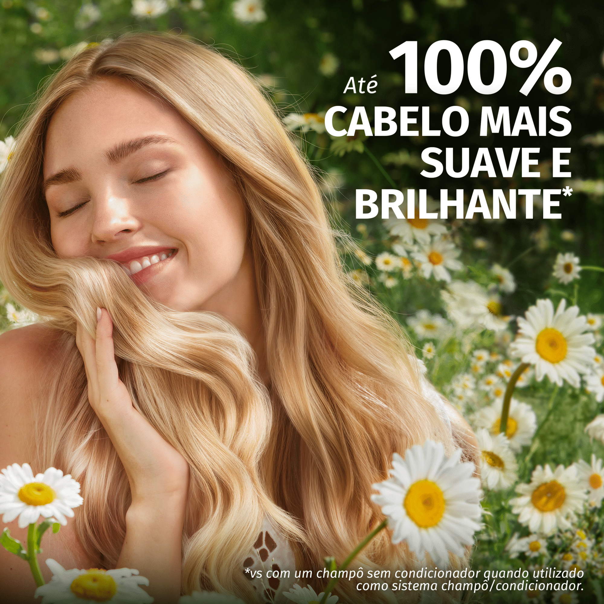 Champô Brilho Camomila