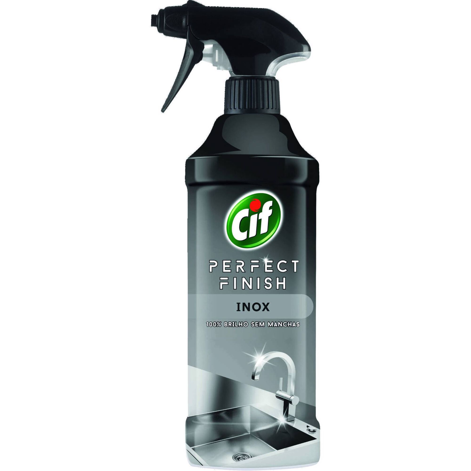 Spray Inox Perfect Finish Spray Inox Perfect Finish
