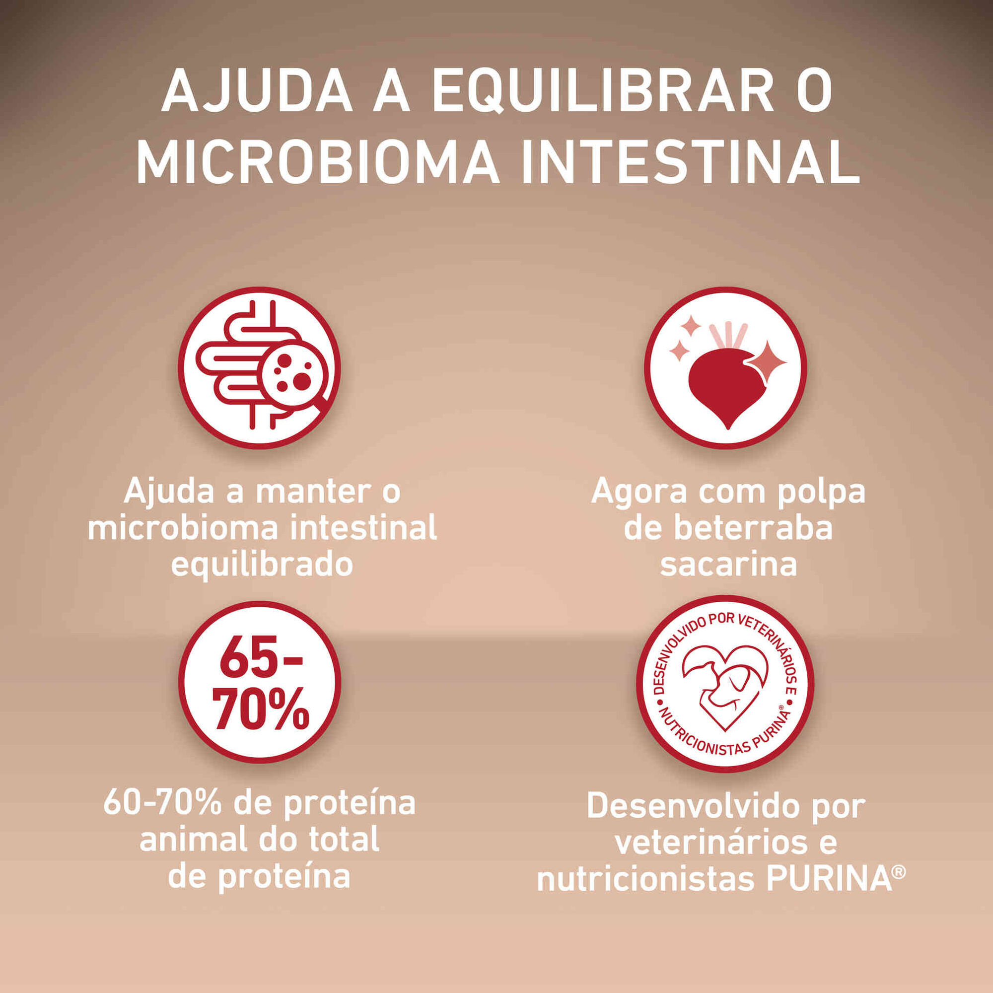 Ração para Cão Adulto Mini Active Frango e Arroz