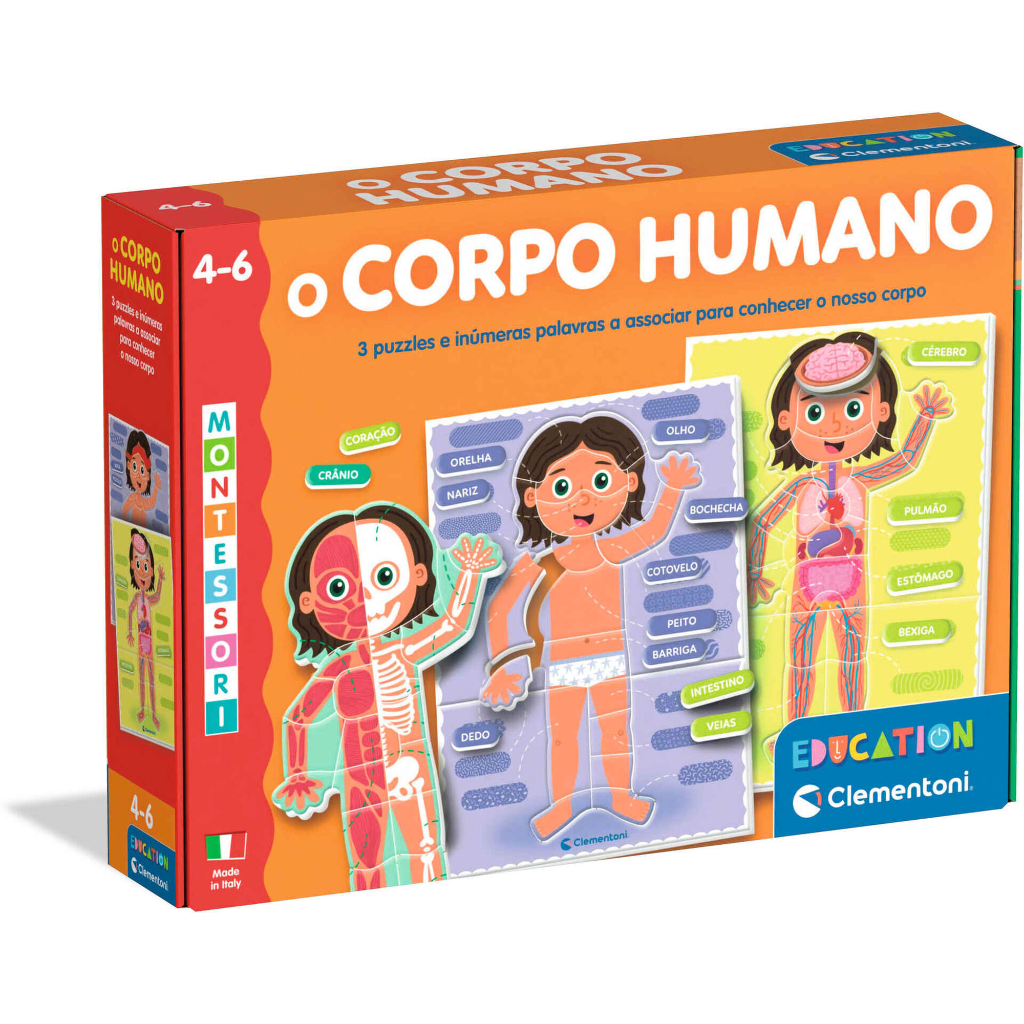 Jogo de Tabuleiro Montessori - Corpo Humano