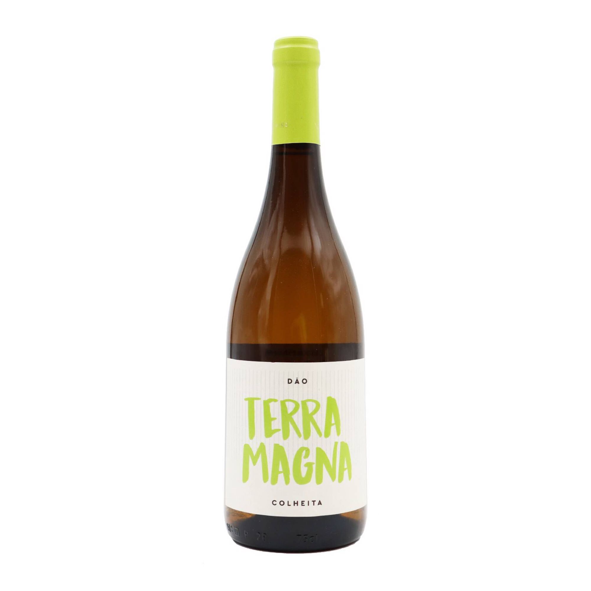 Terra Magna Selected Harvest Dão Vinho Branco