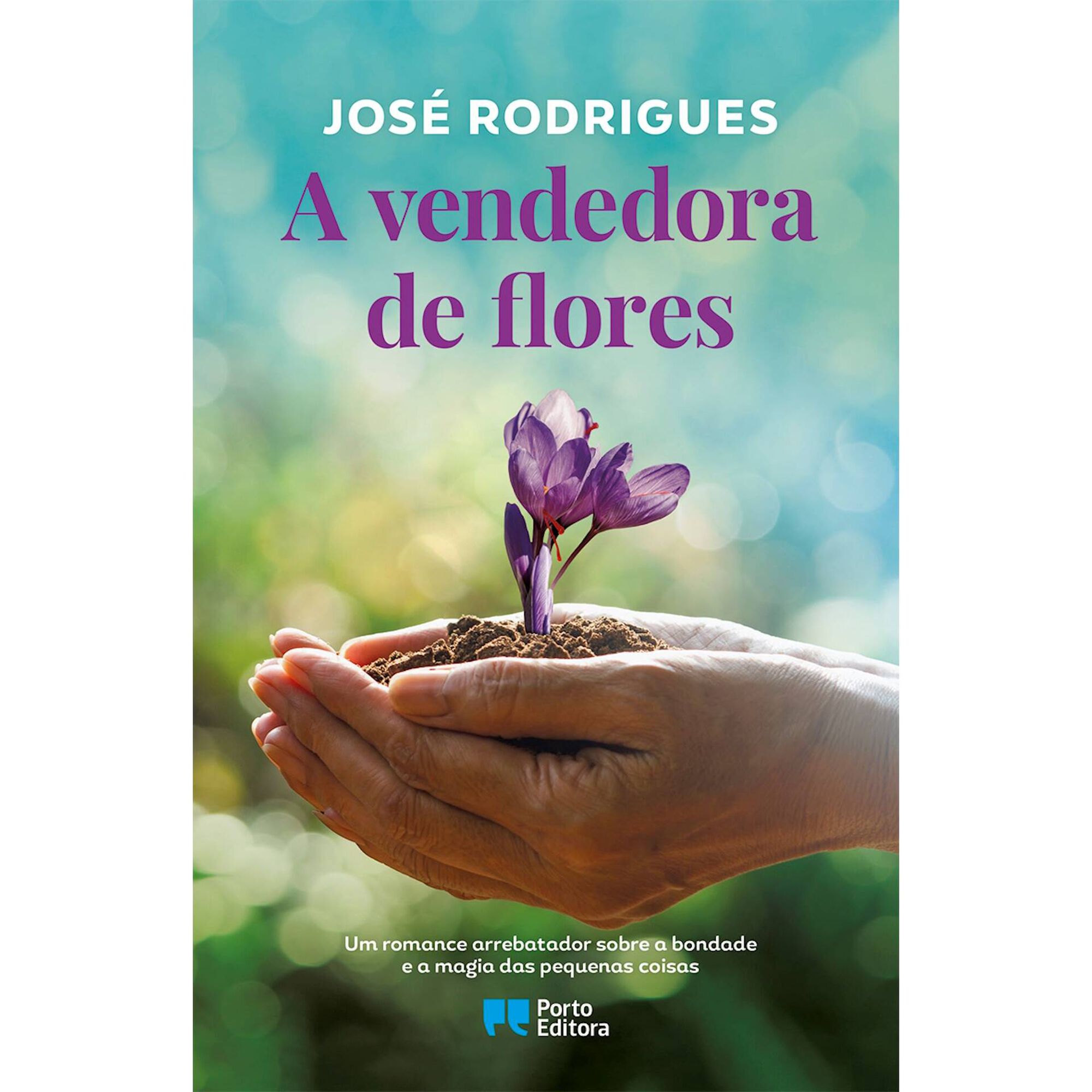 A Vendedora de Flores de Jos&eacute; Rodrigues