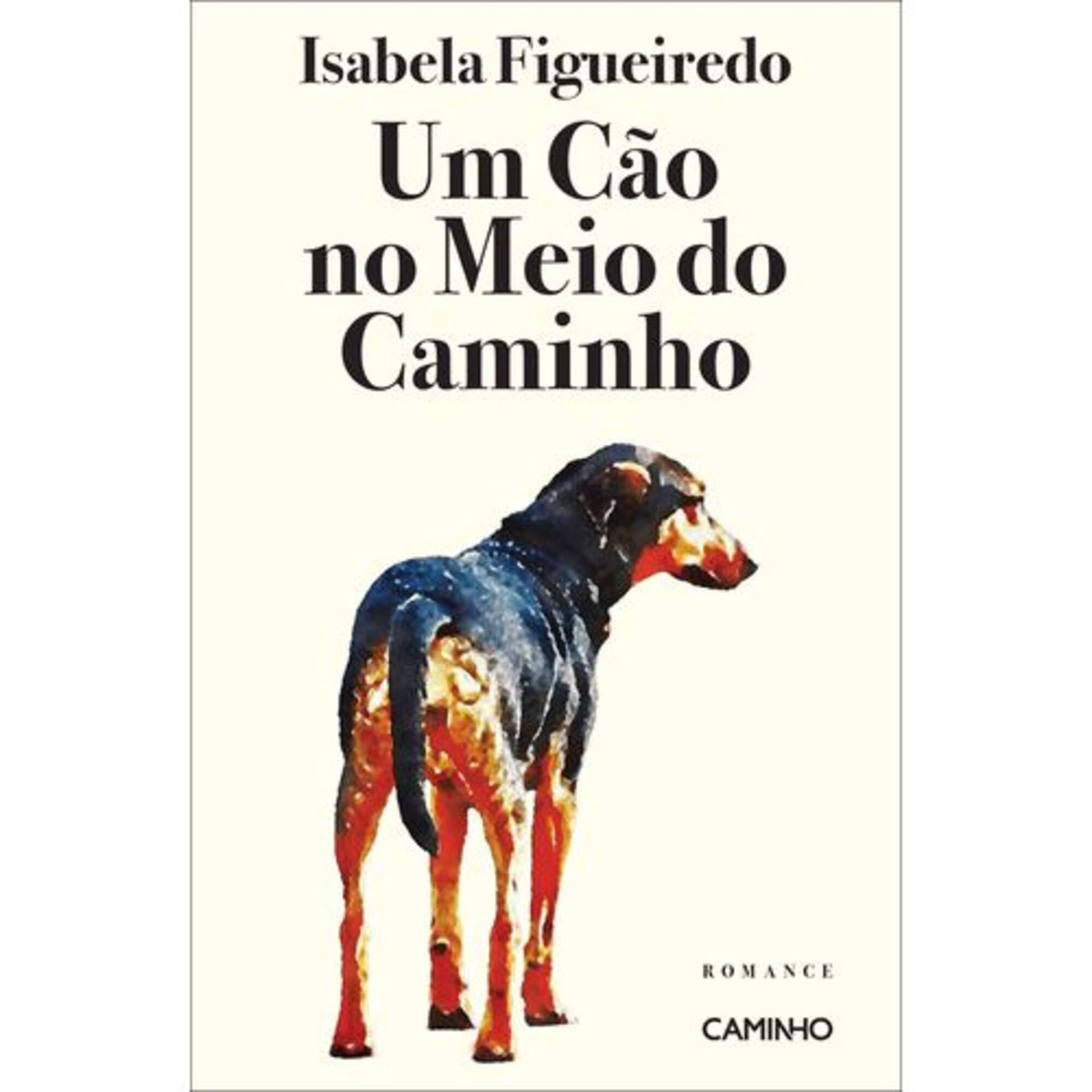 Um Cão no Meio do Caminho Um Cão no Meio do Caminho
