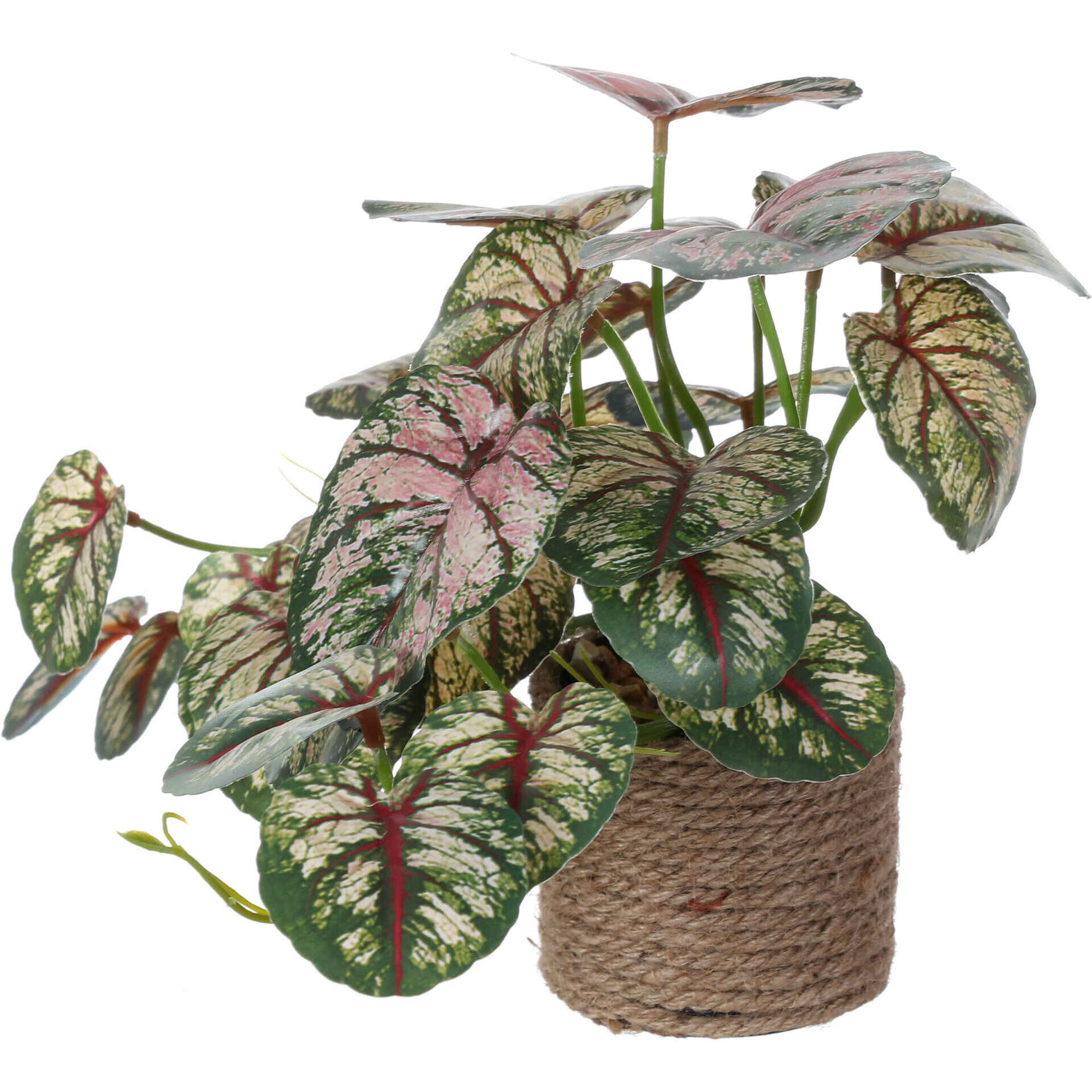 Planta Artificial com Vaso Corda 9x18cm Kasa