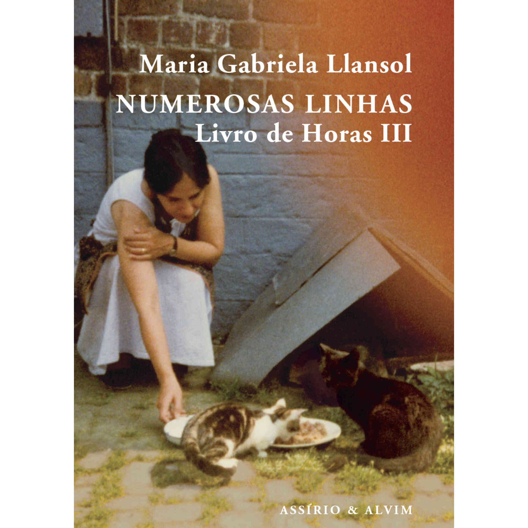 Numerosas Linhas de Maria Gabriela Llansol