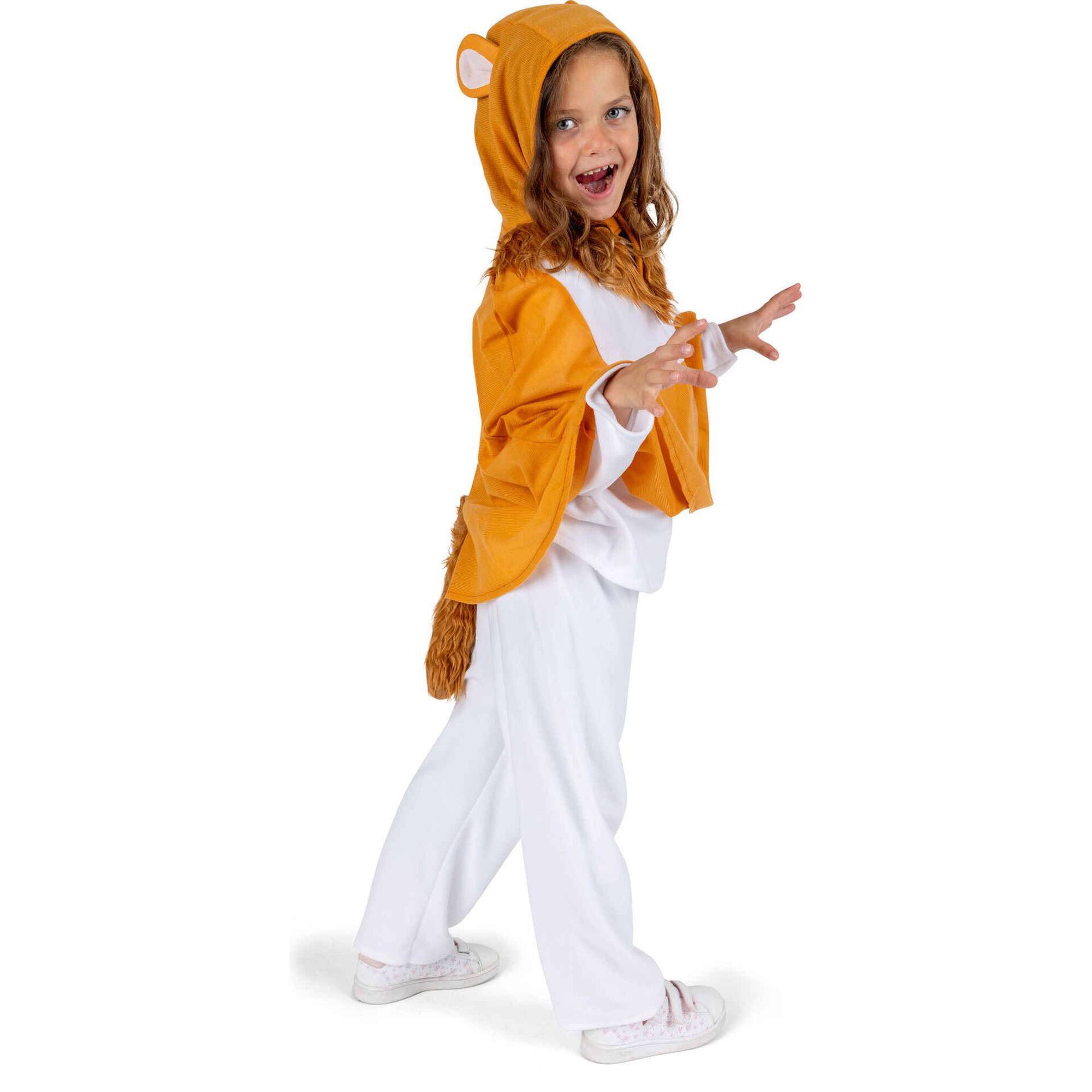 Fantasia Le&atilde;o Simba