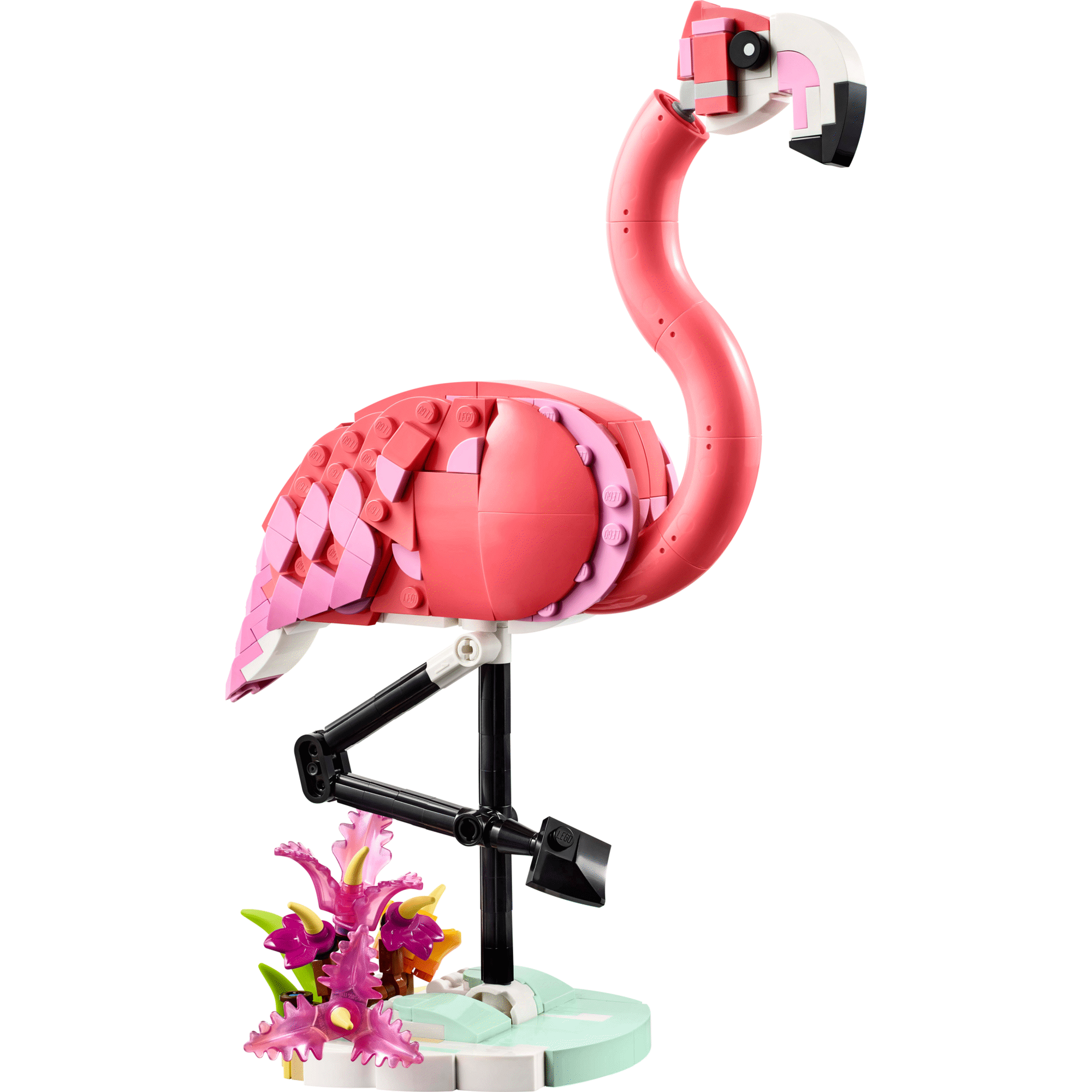 Animais Selvagens: Flamingo Cor-de-rosa - 31170