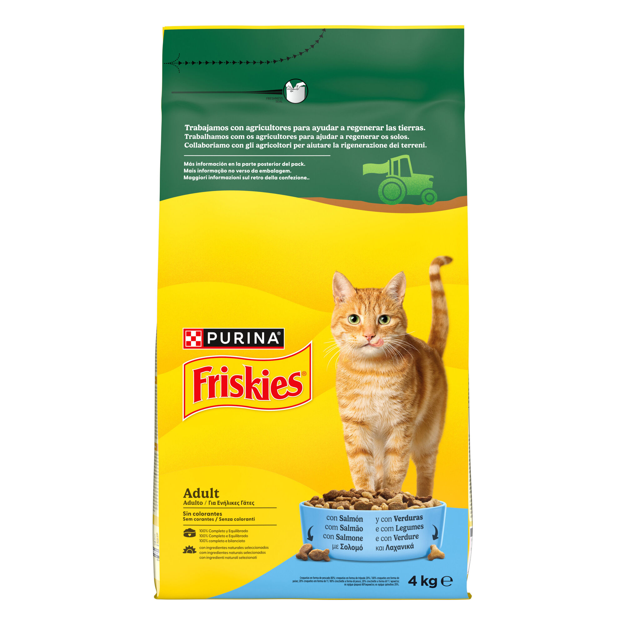Ra&ccedil;&atilde;o para Gato Adulto Salm&atilde;o Purina Friskies