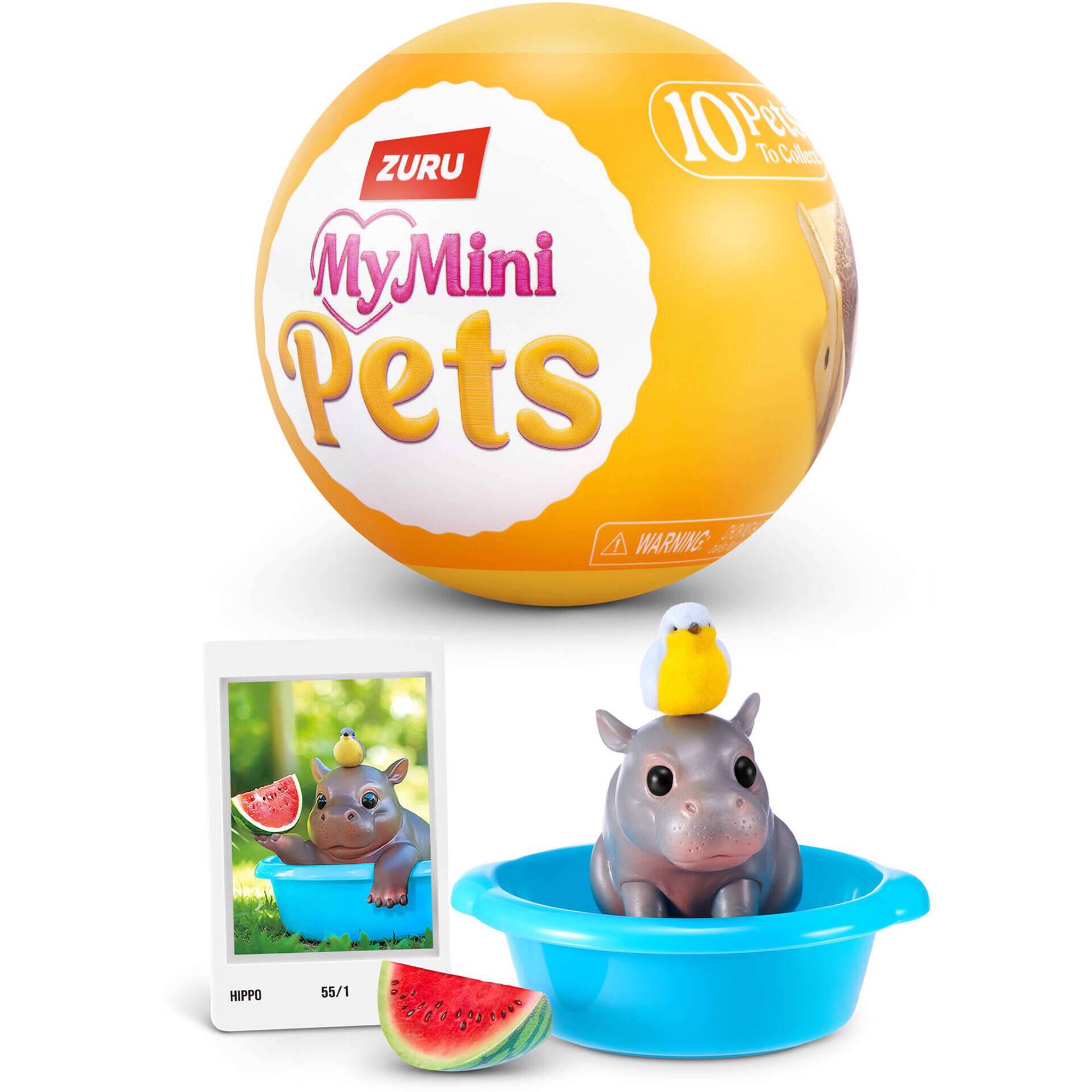 Concentra - My Mini Pets (v&aacute;rios modelos)