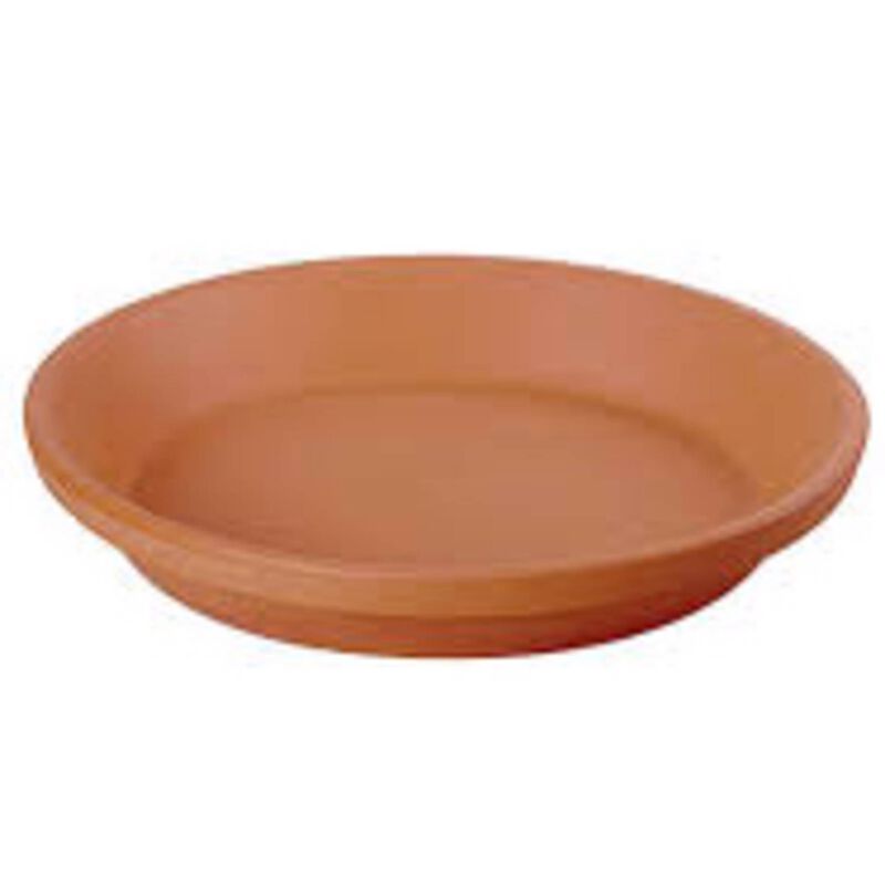 Prato Barro 17cm Argoncilhe