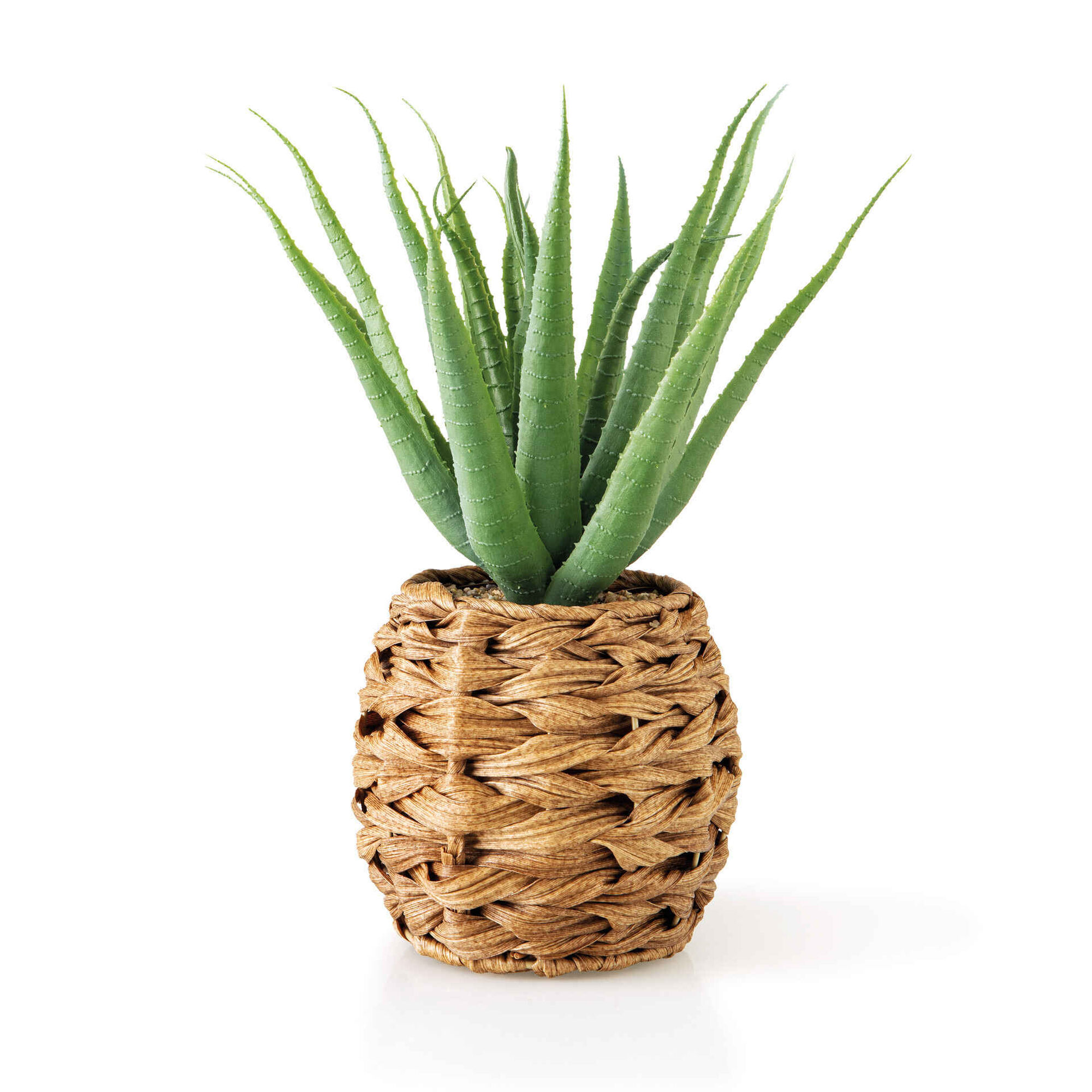 Planta Artificial Aloé Suculenta com Vaso Seagrass