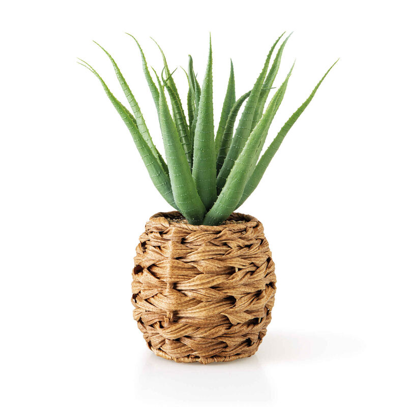 Vaso Cimento com Suculenta Aloé Artificial Kasa