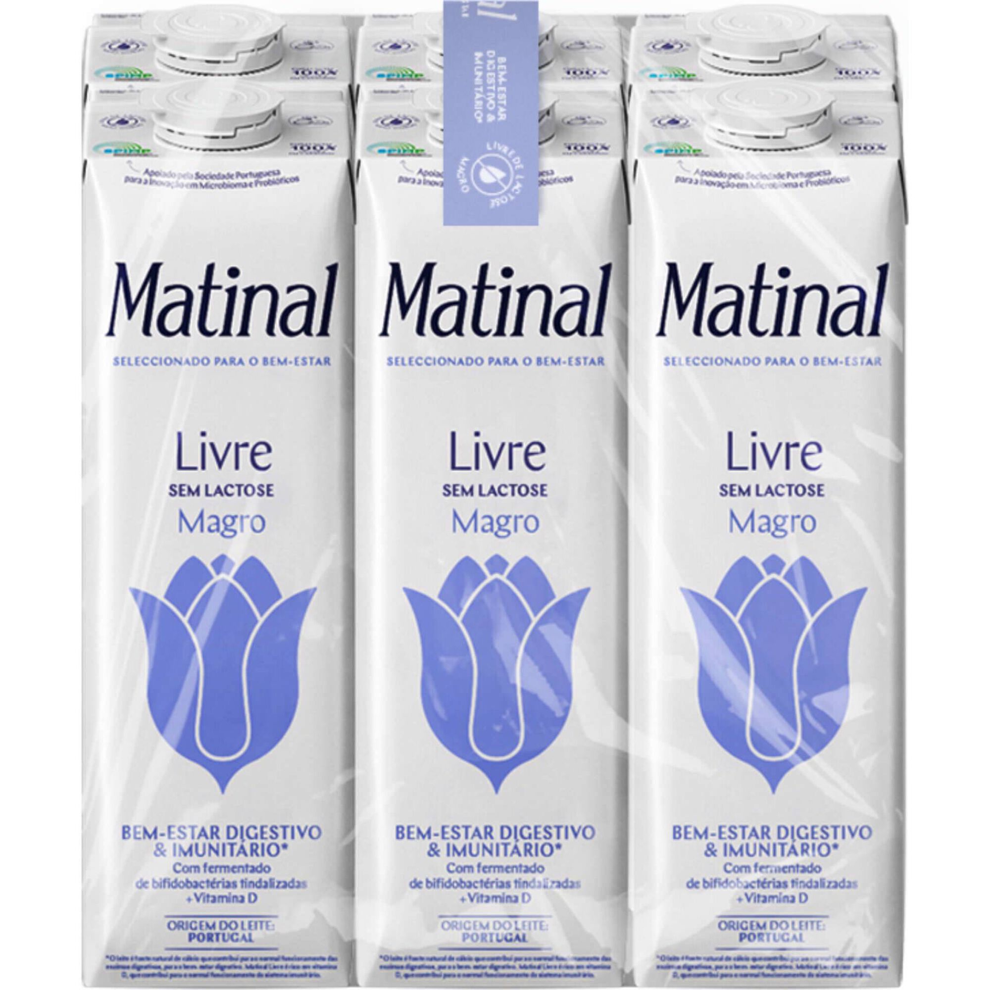 Leite Magro Sem Lactose Livre Matinal