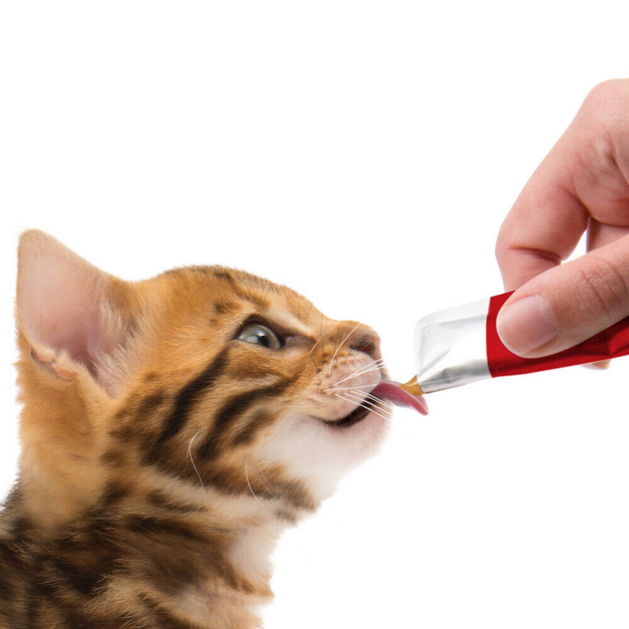 Pur&eacute; para Gato Atum Creamy Catit