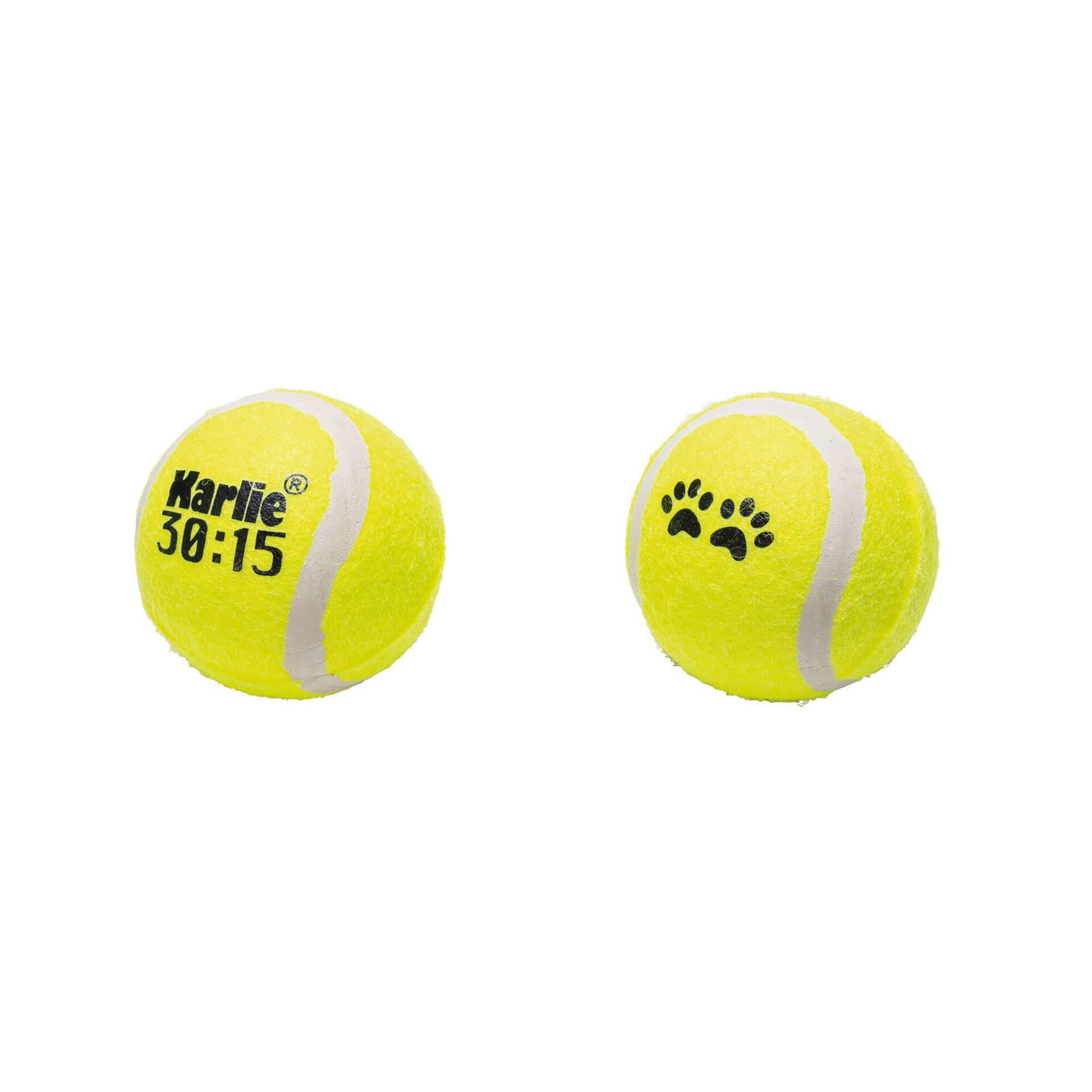 Brinquedo para Cão Bolas Ténis Brinquedo para Cão Bolas Ténis