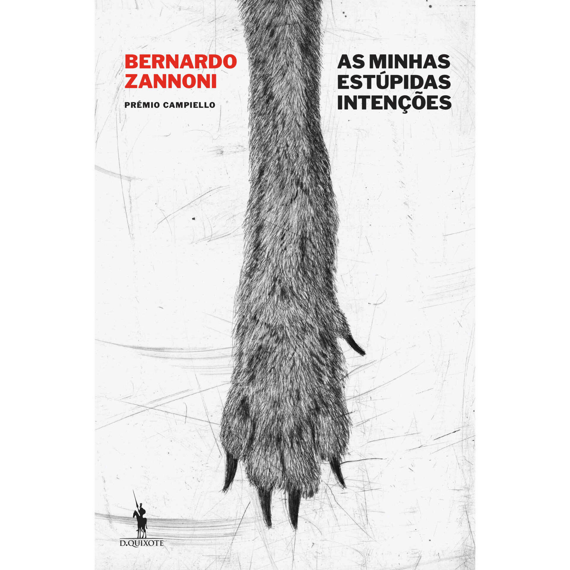 As Minhas Estúpidas Intenções
