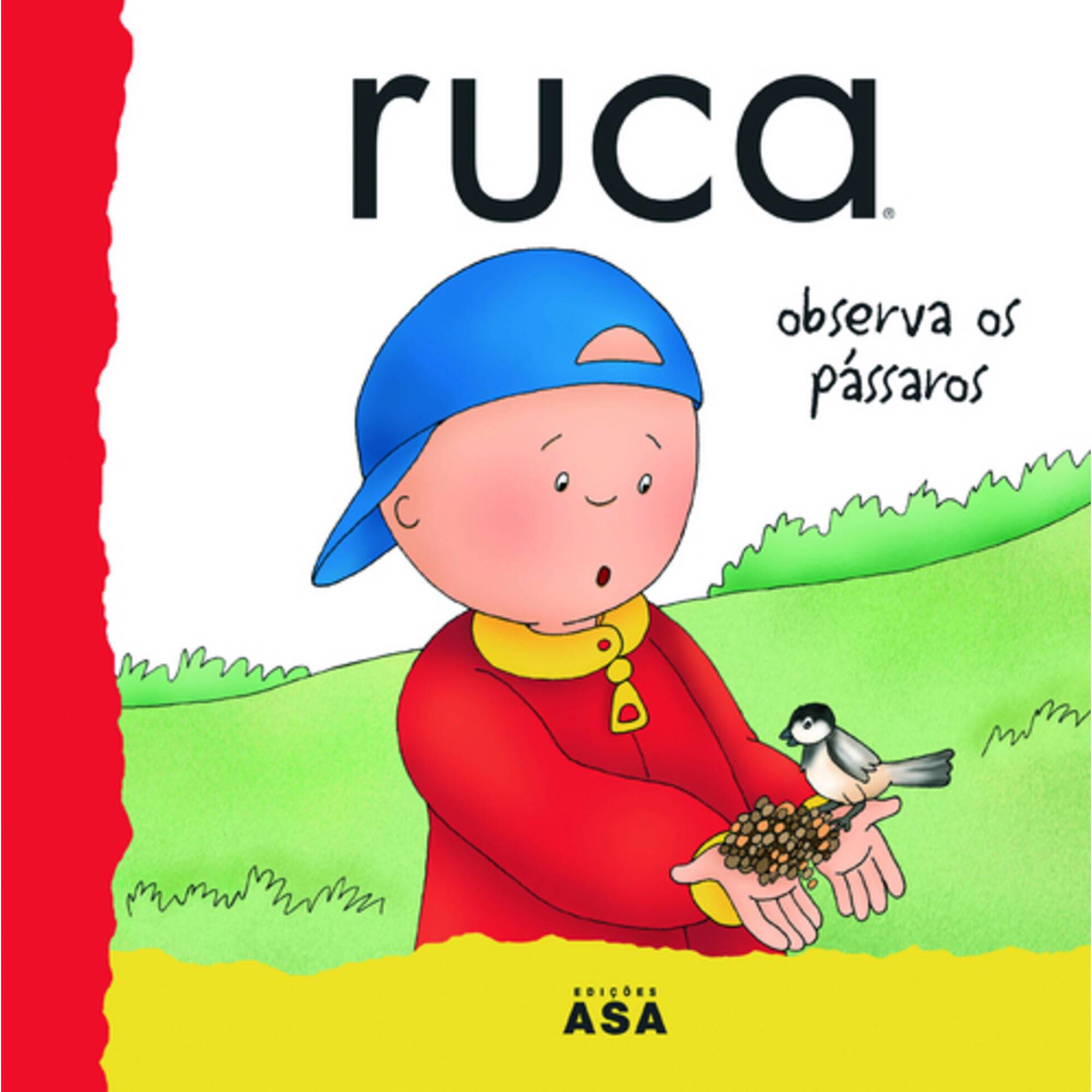 Ruca Observa os P&aacute;ssaros de Asa