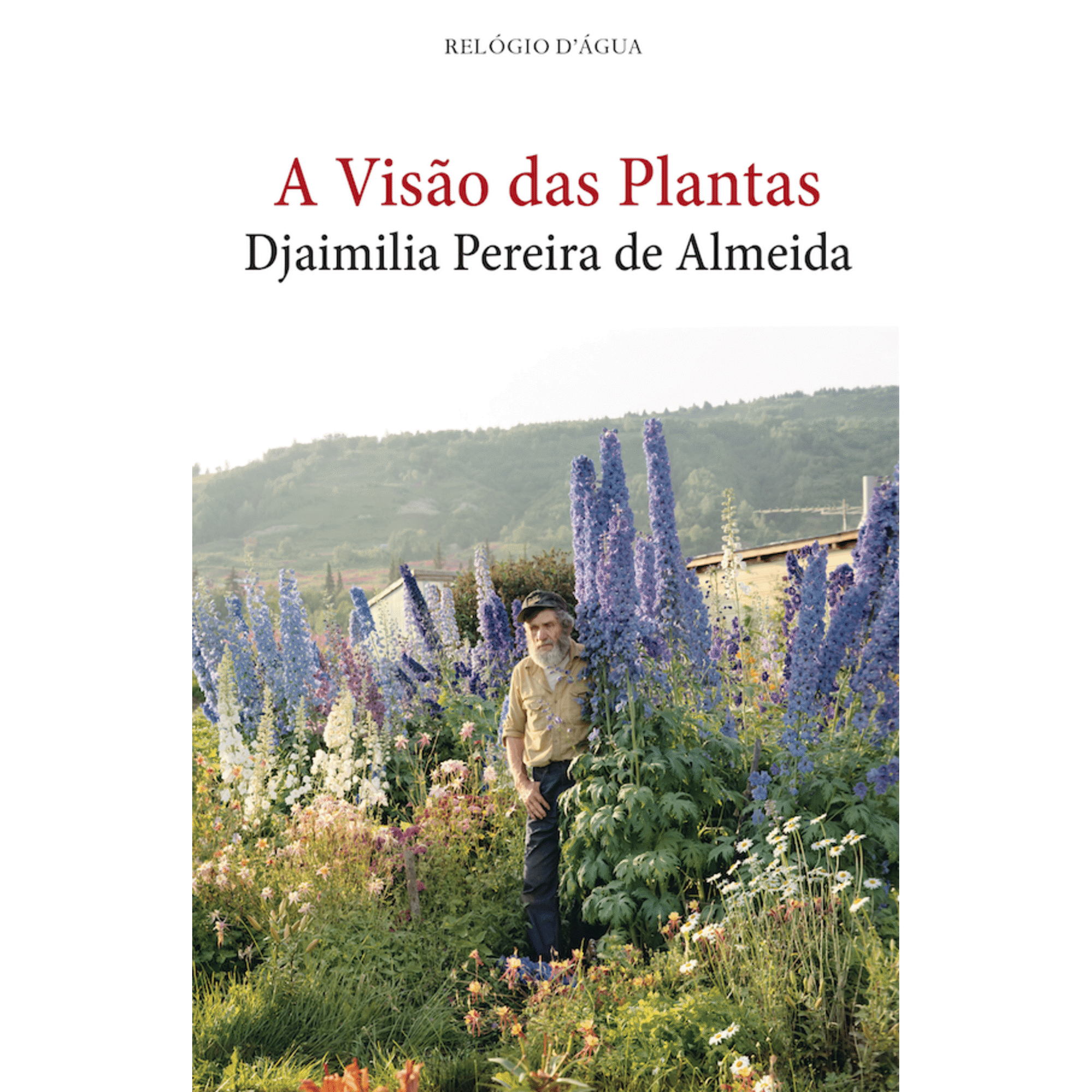 A Vis&atilde;o das Plantas de Djaimilia Pereira de Almeida
