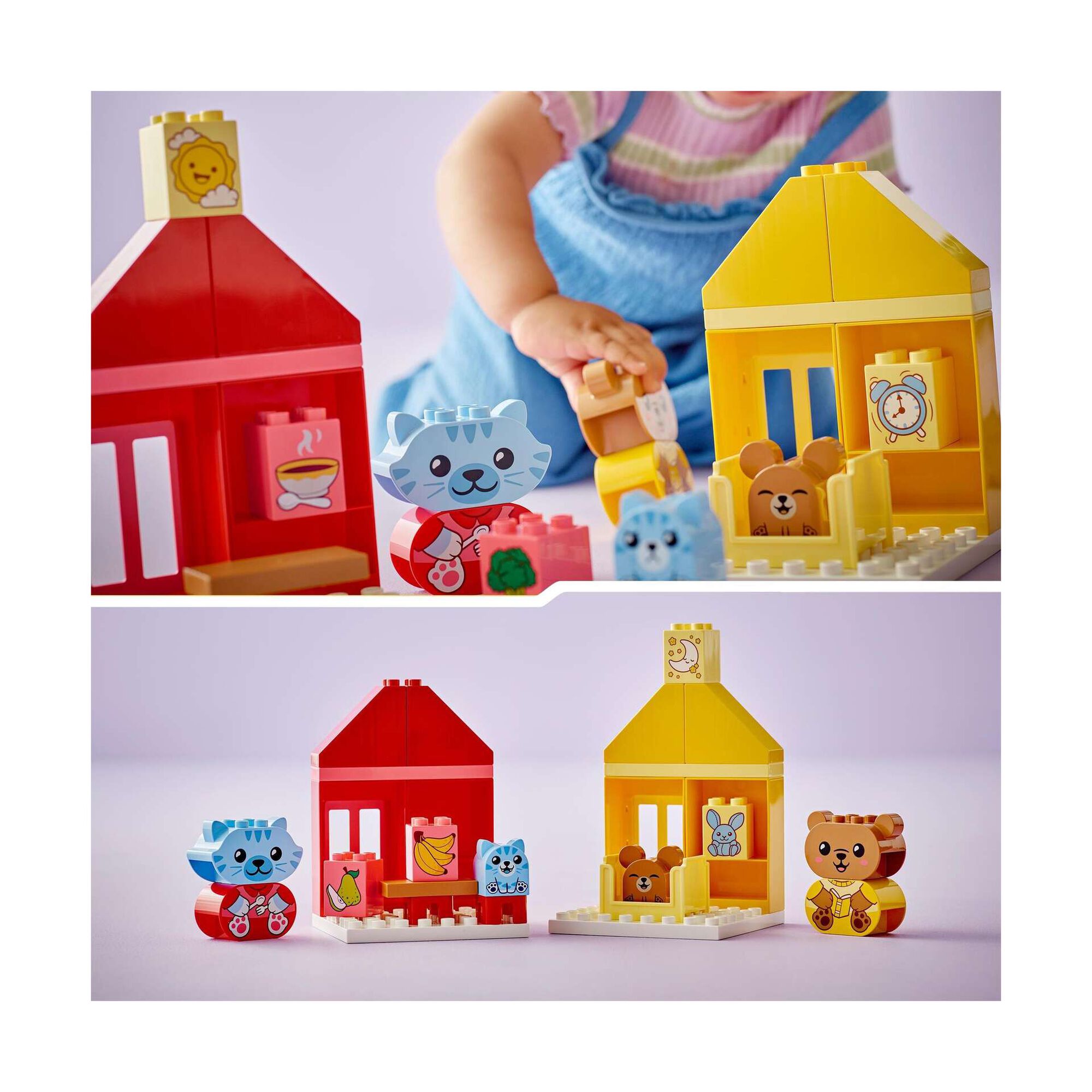 Rotinas Diárias: Comer e Dormir - 10414