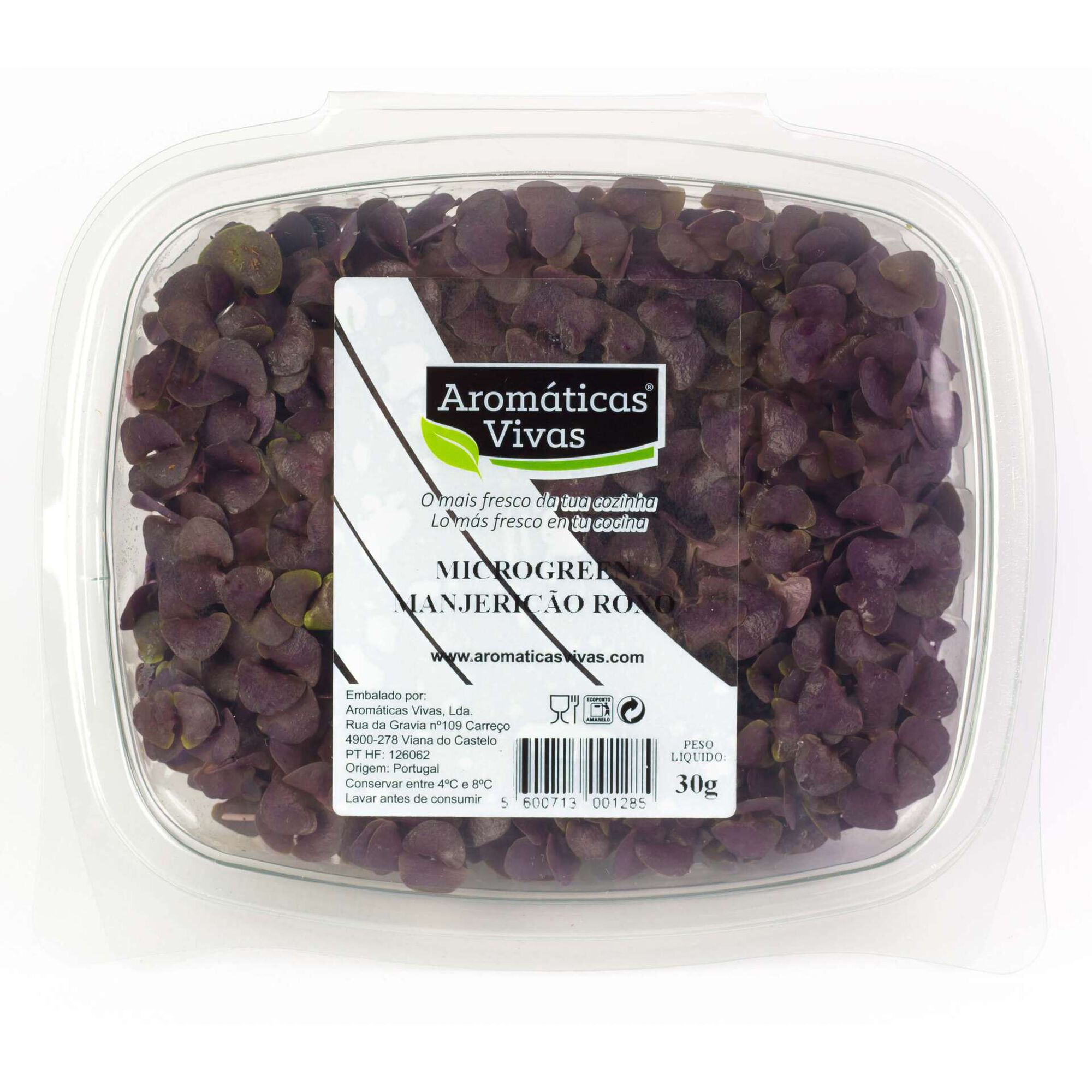 Microgreen Manjericão Roxo