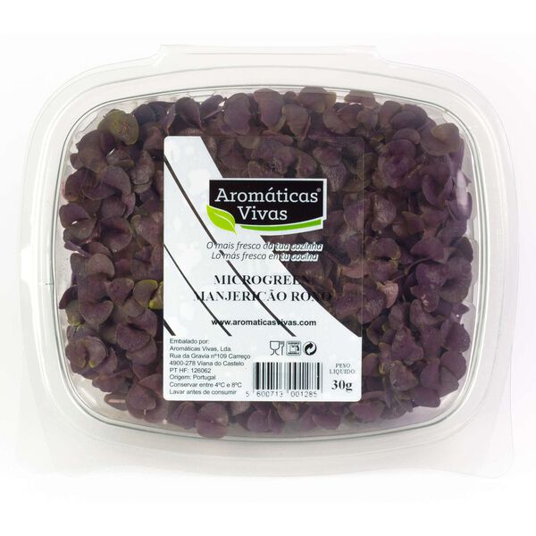 Microgreen Manjericão Roxo Aromáticas Vivas