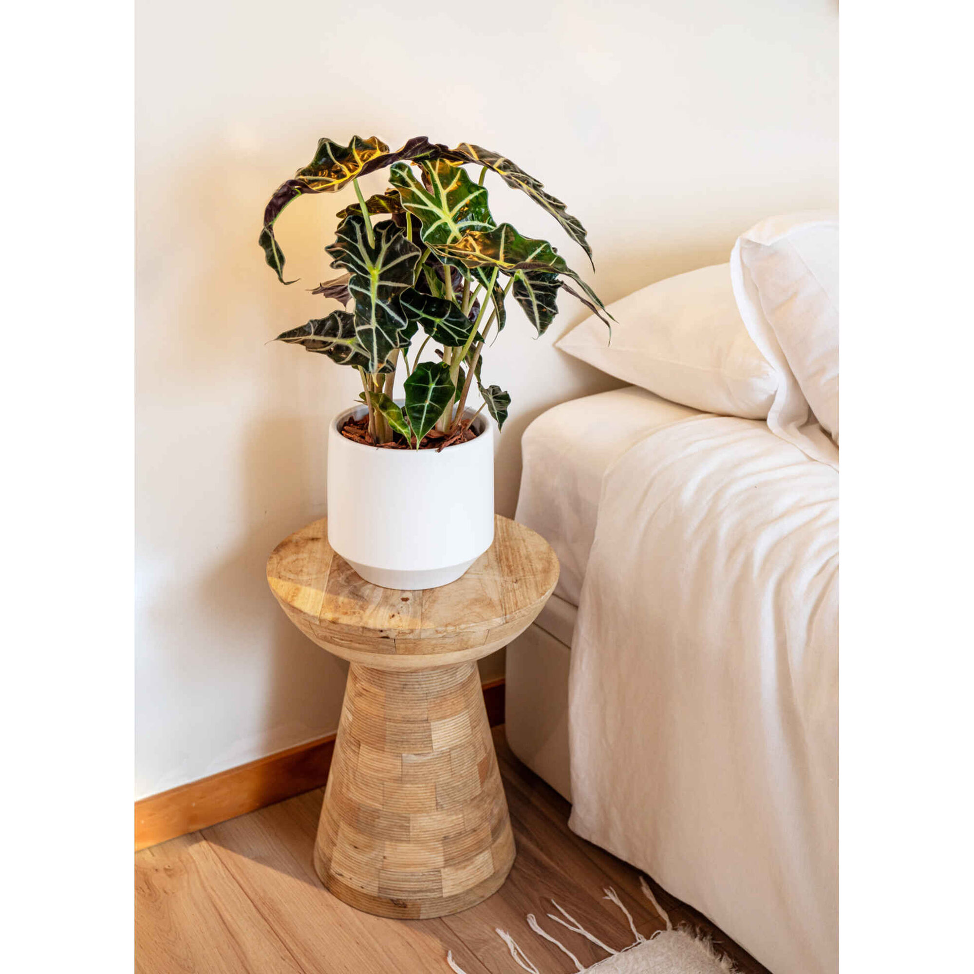 Vaso Redondo Faiança 17cm Branco