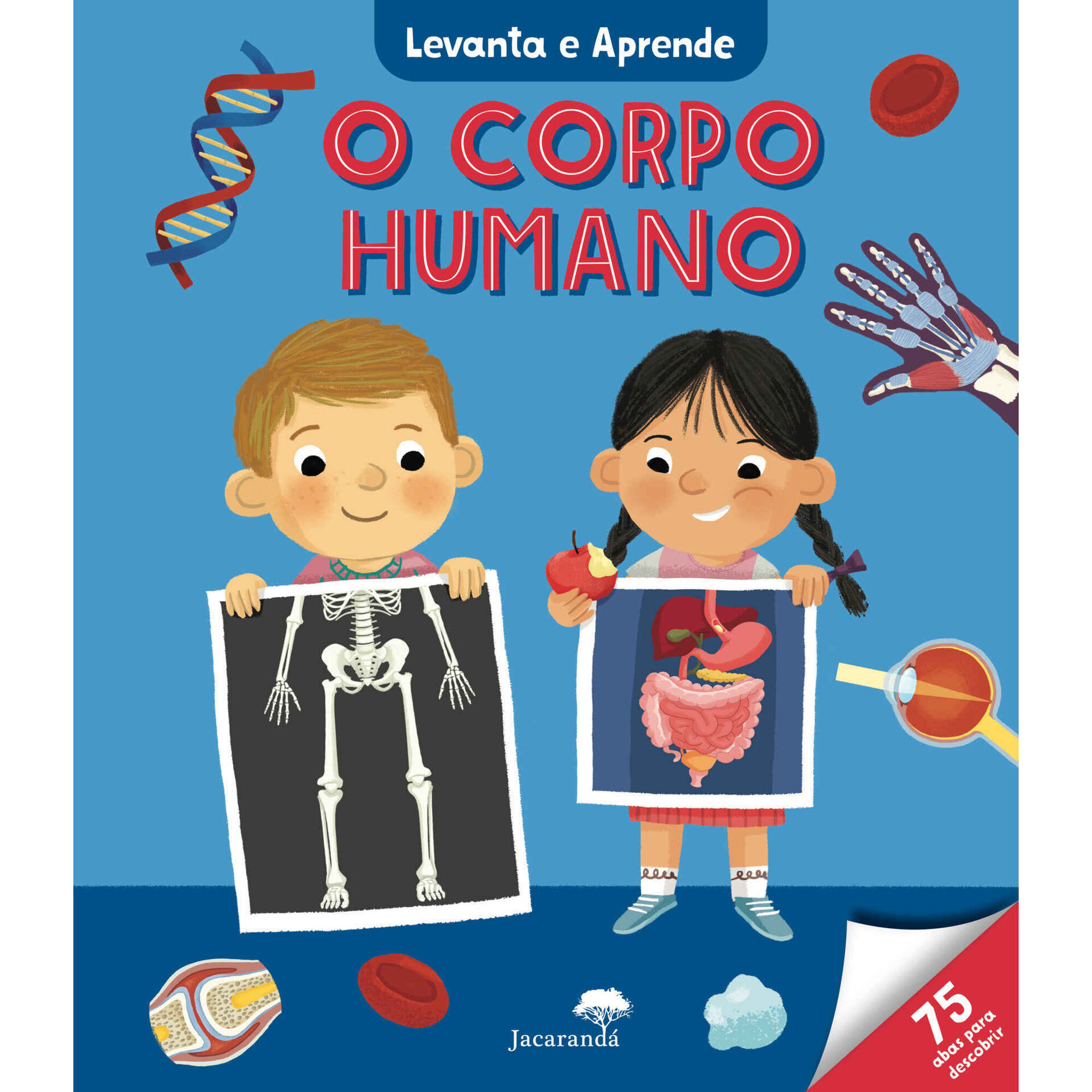 Levanta e Aprende - O Corpo Humano