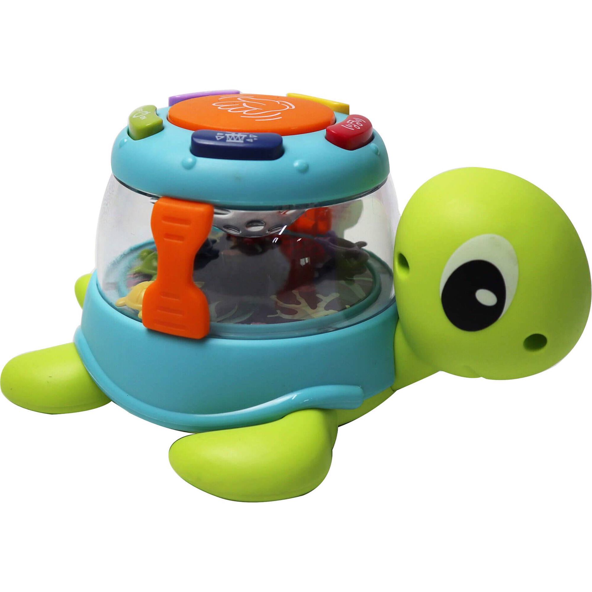 Tartaruga e Carangueijo Divertidos